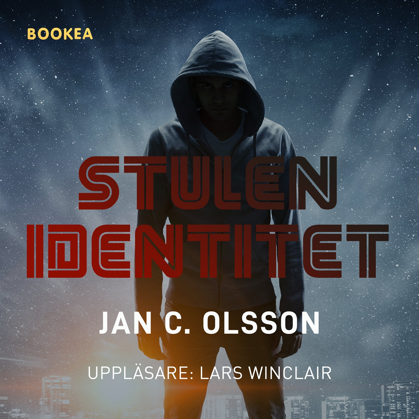 Stulen identitet – Ljudbok