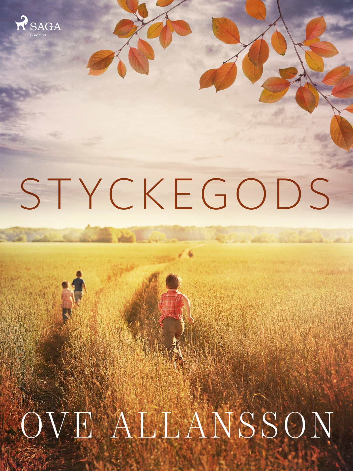 Styckegods – E-bok
