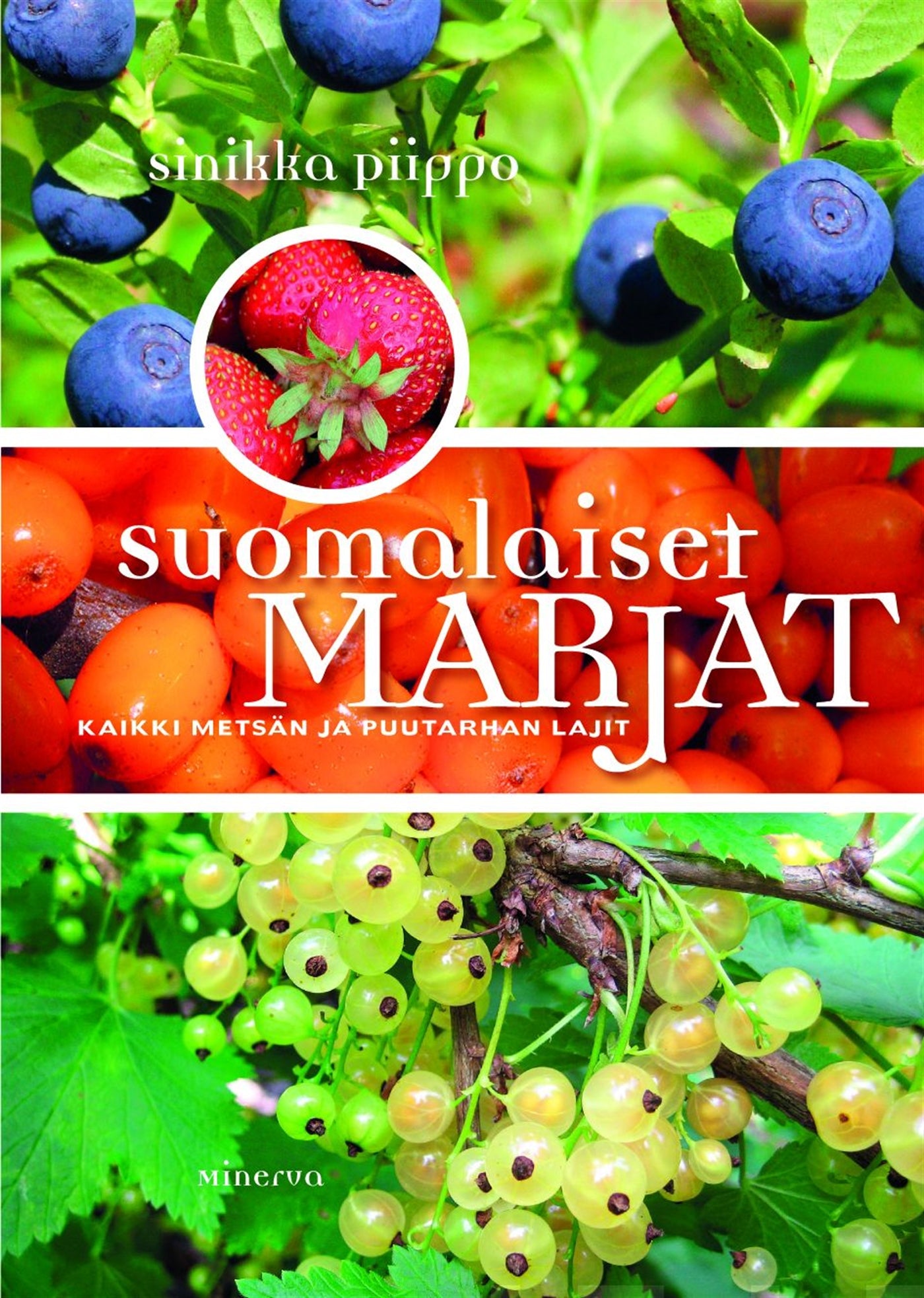 Suomalaiset marjat – E-bok
