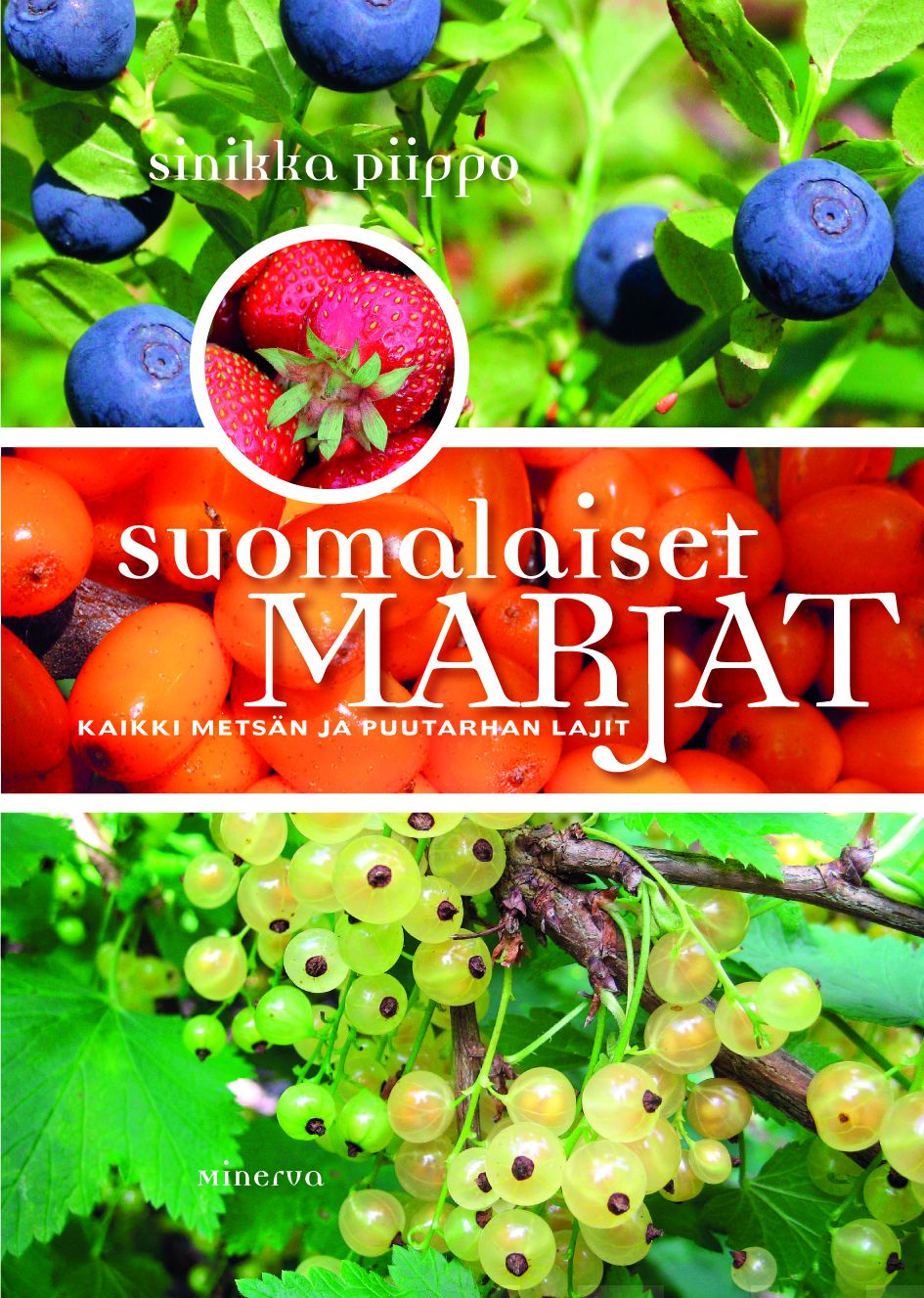 Suomalaiset marjat – E-bok