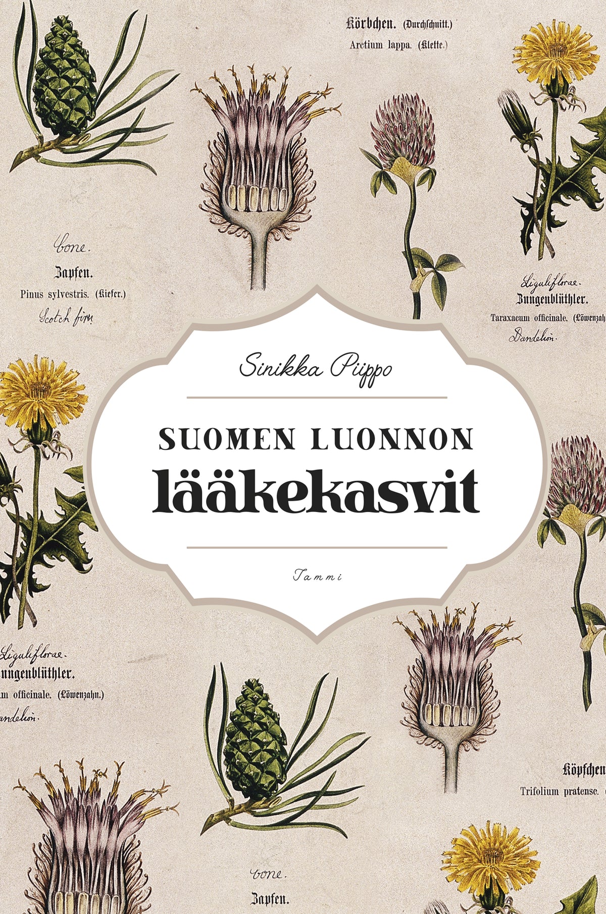 Suomen luonnon lääkekasvit – E-bok