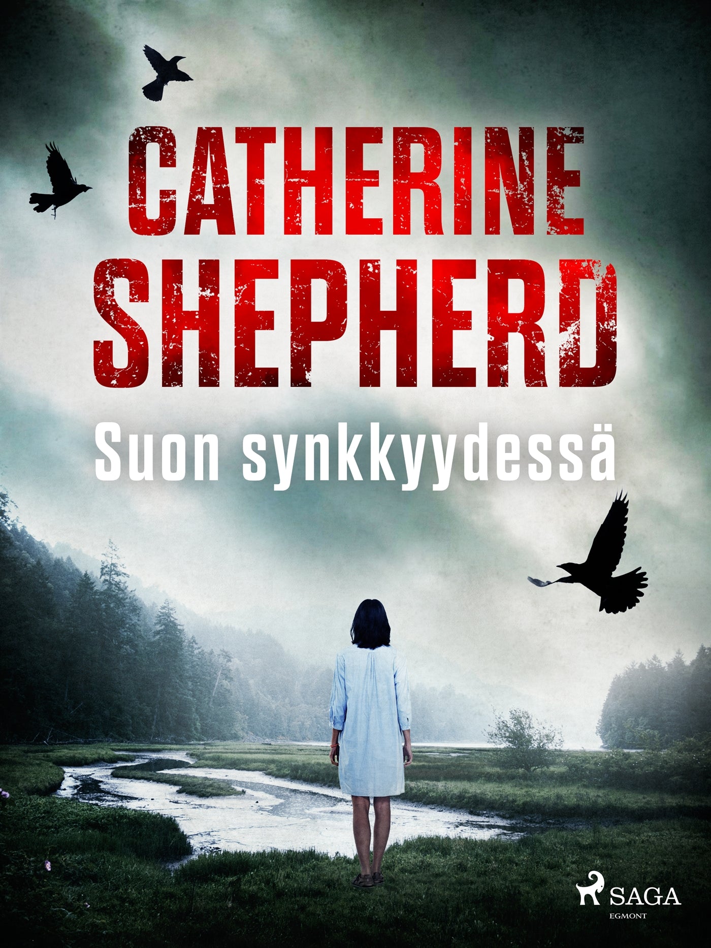Suon synkkyydessä – E-bok