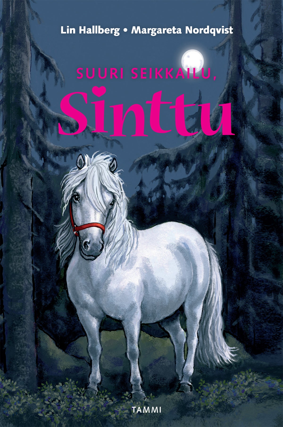 Suuri seikkailu, Sinttu – E-bok
