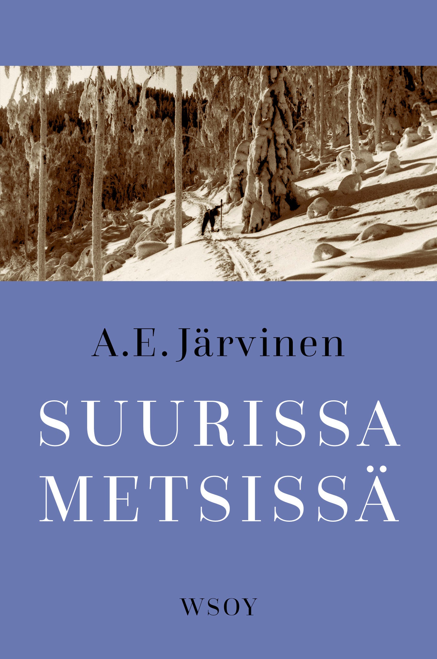 Suurissa metsissä – E-bok