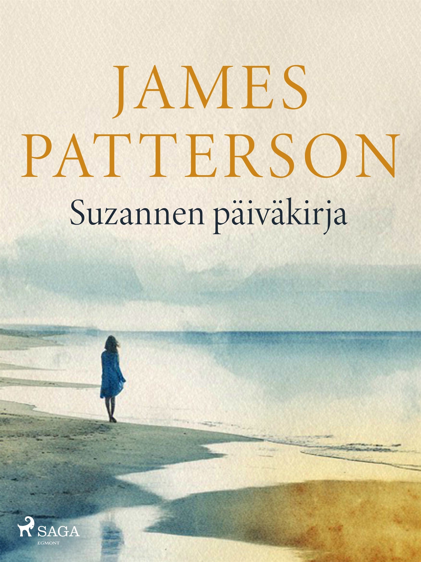 Suzannen päiväkirja – E-bok