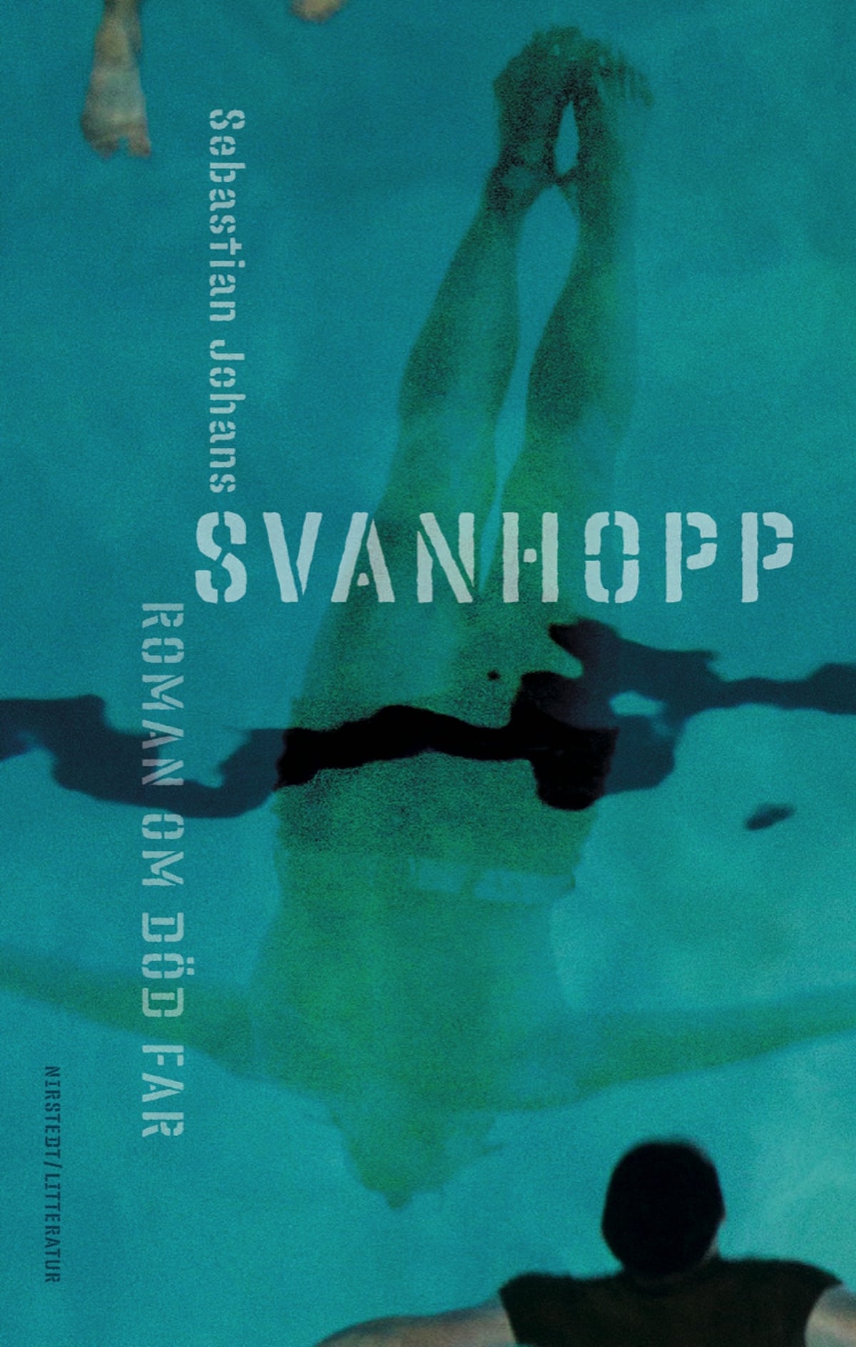 Svanhopp – E-bok
