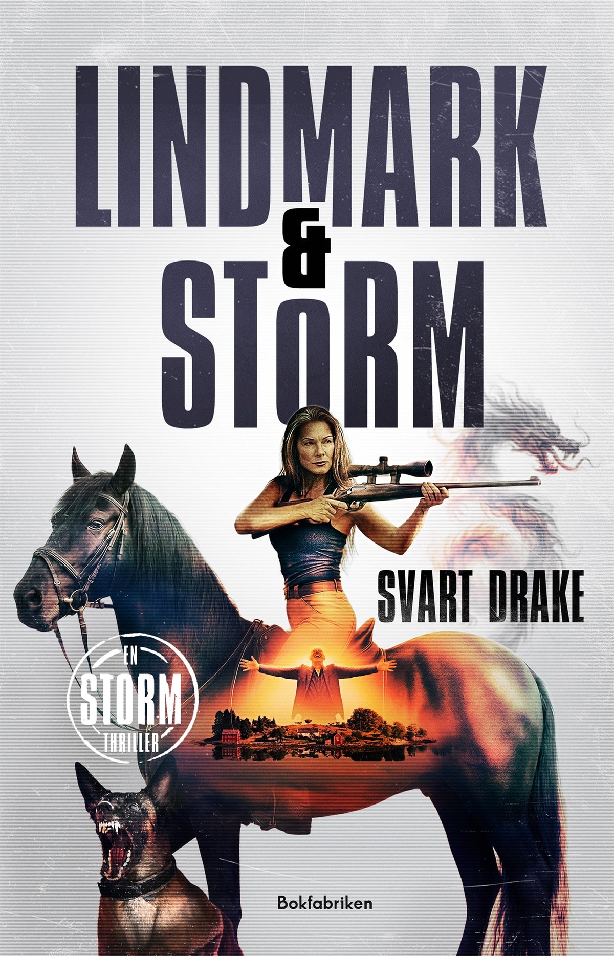 Svart drake – E-bok