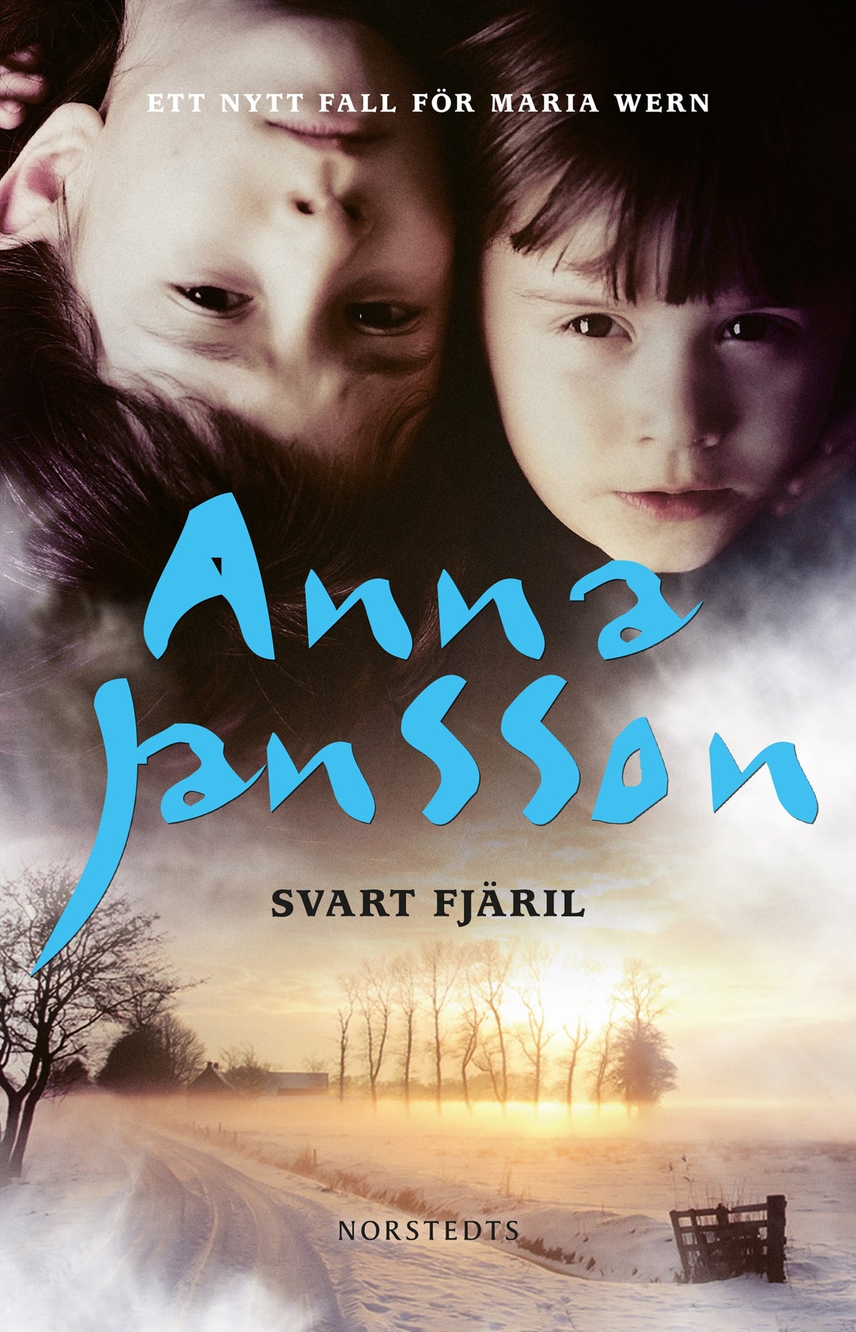 Svart fjäril – E-bok