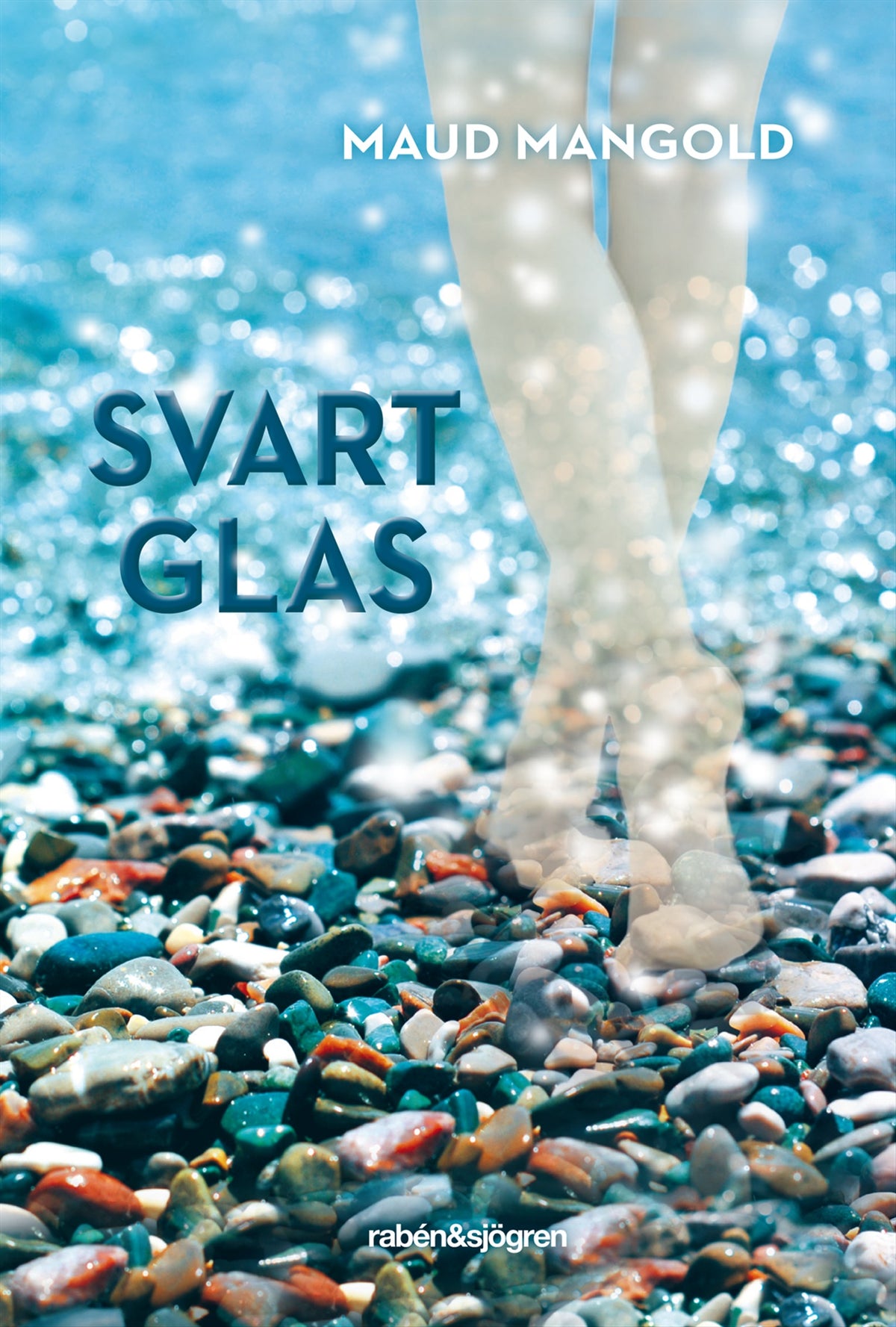 Svart glas – E-bok