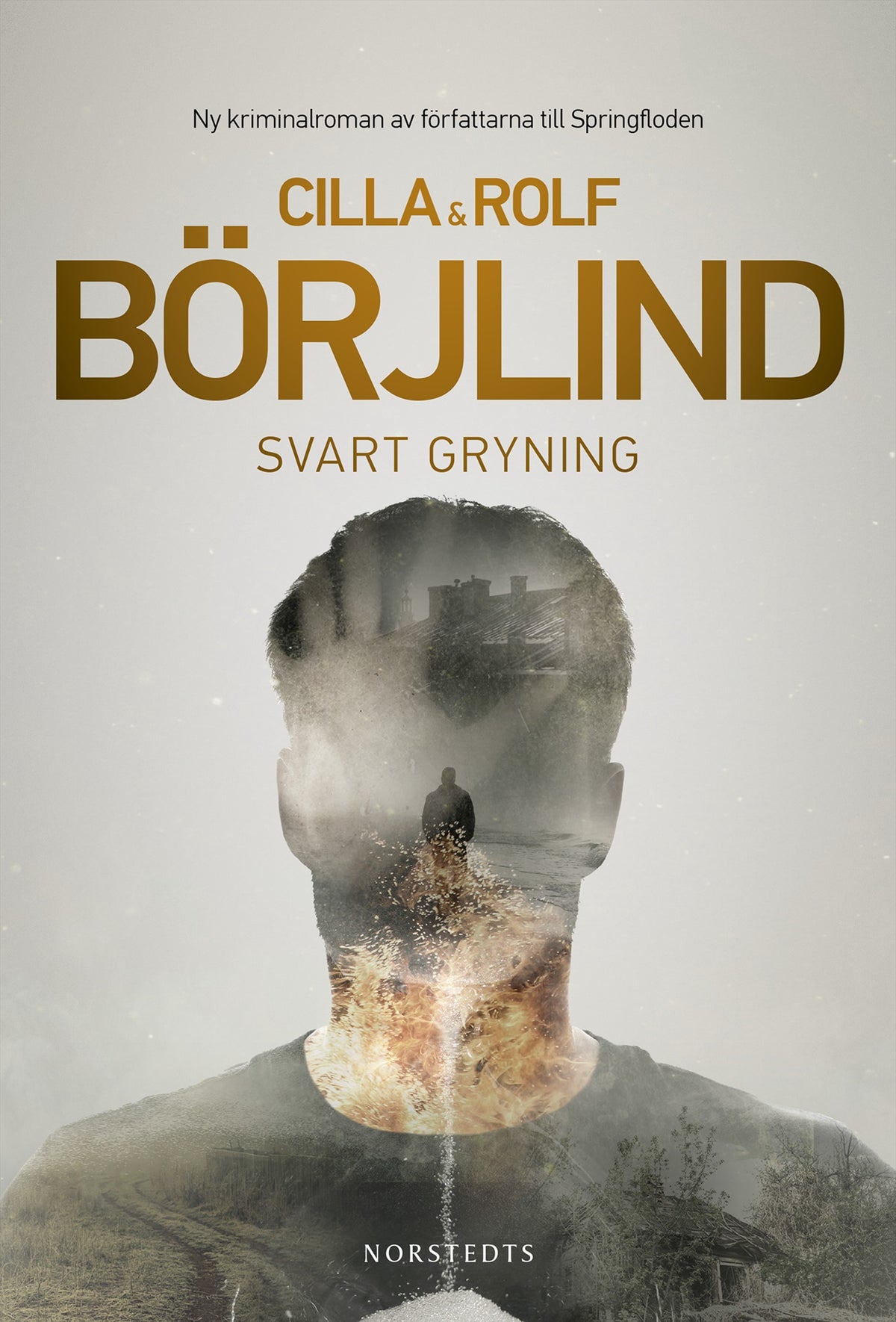 Svart gryning – E-bok