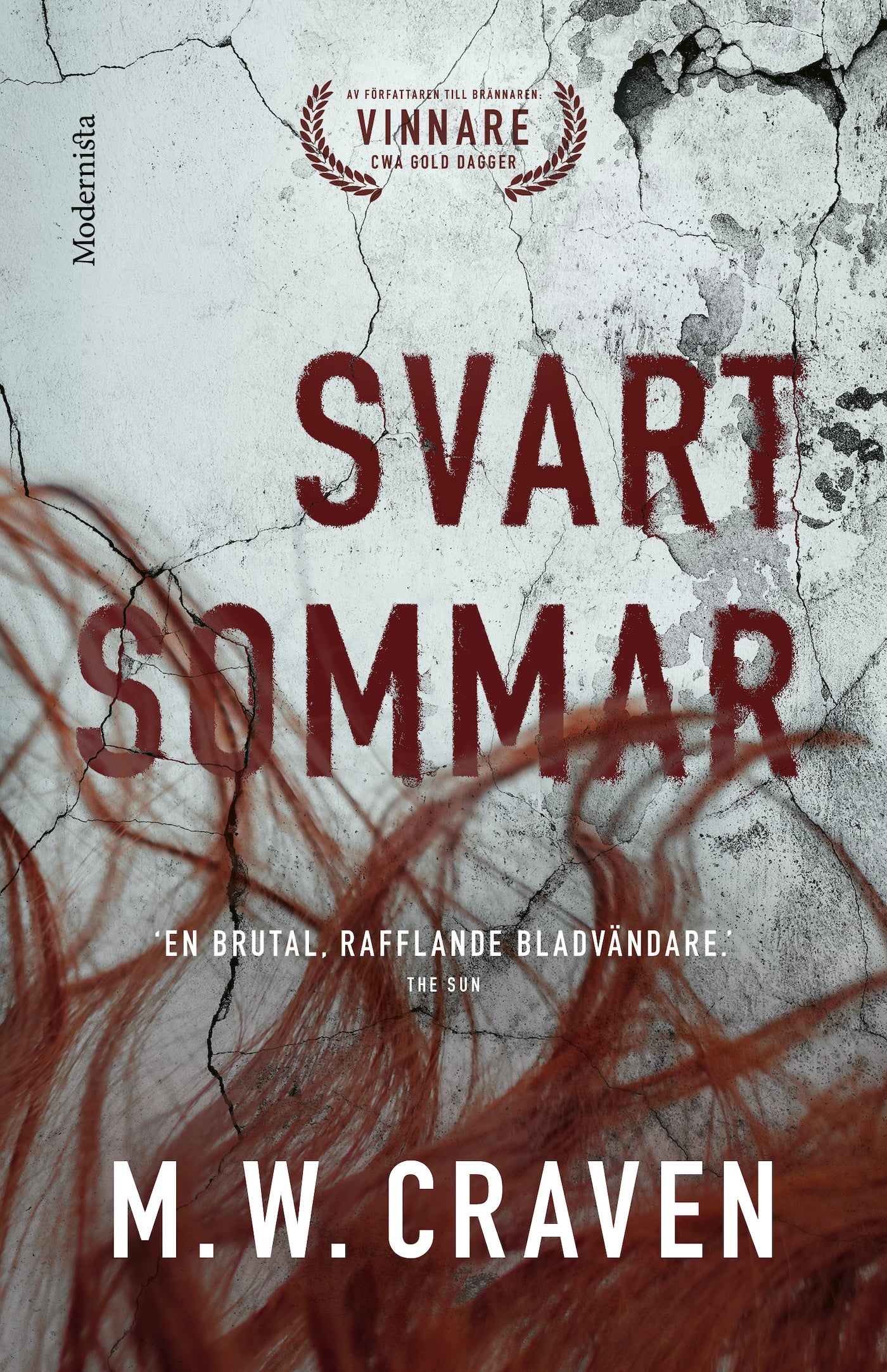 Svart sommar – E-bok