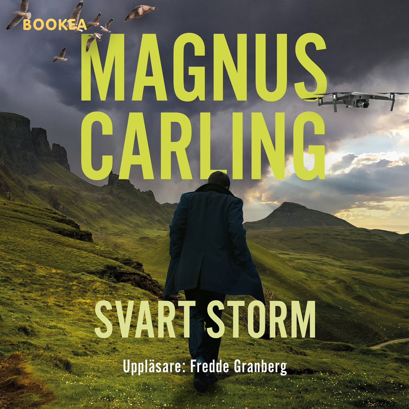 Svart storm – Ljudbok