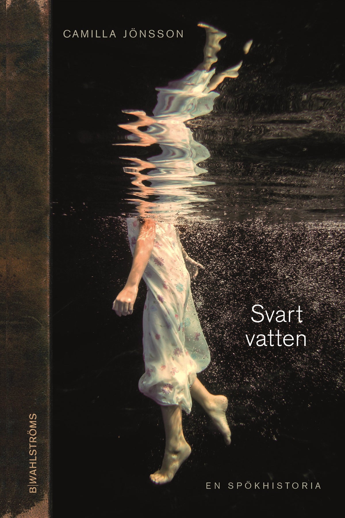 Svart vatten – E-bok