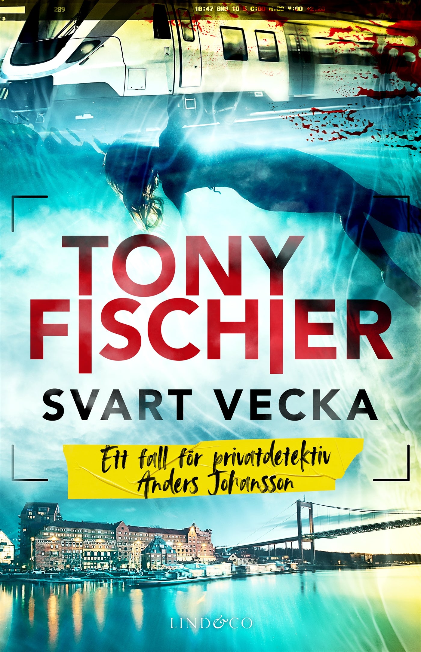 Svart vecka : ett fall för privatdetektiv Anders Johansson – E-bok