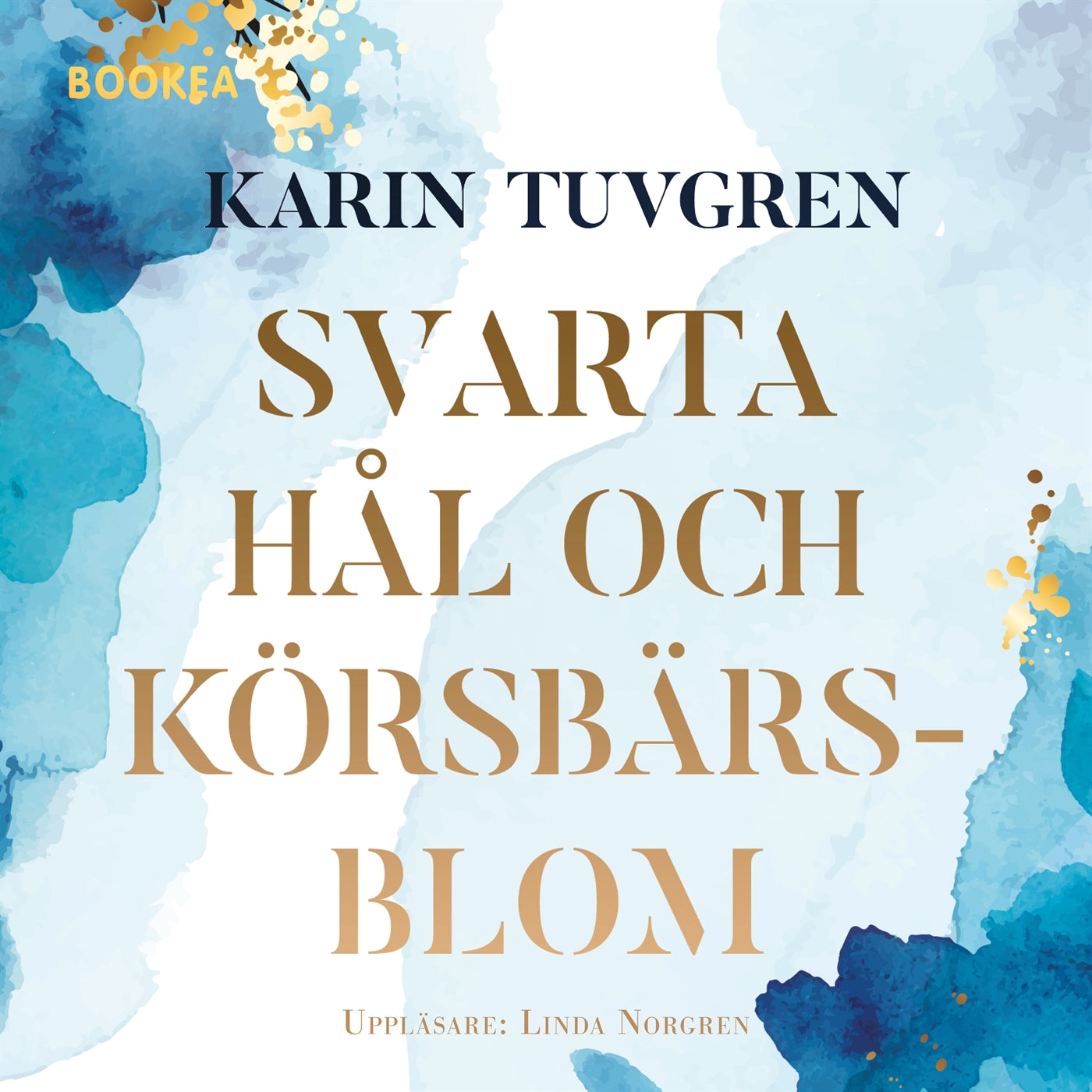 Svarta hål och körsbärsblom – Ljudbok