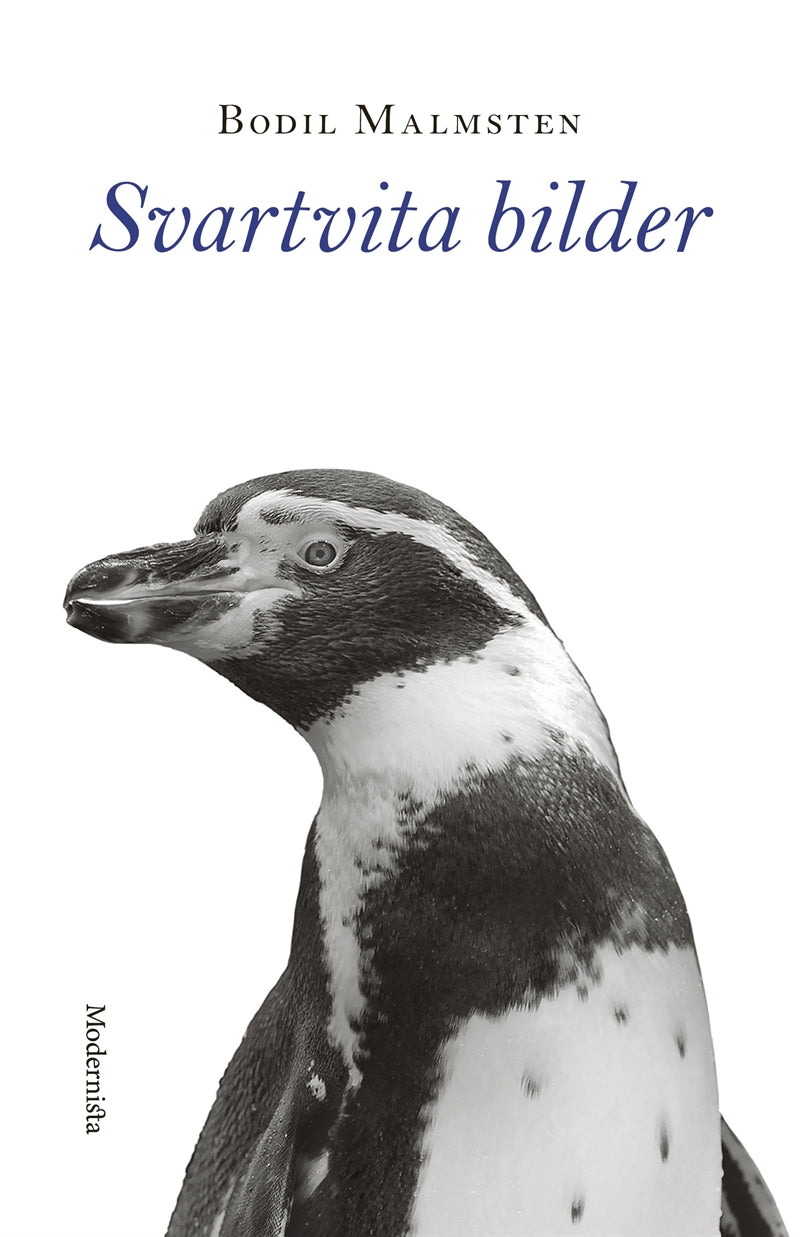 Svartvita bilder – E-bok