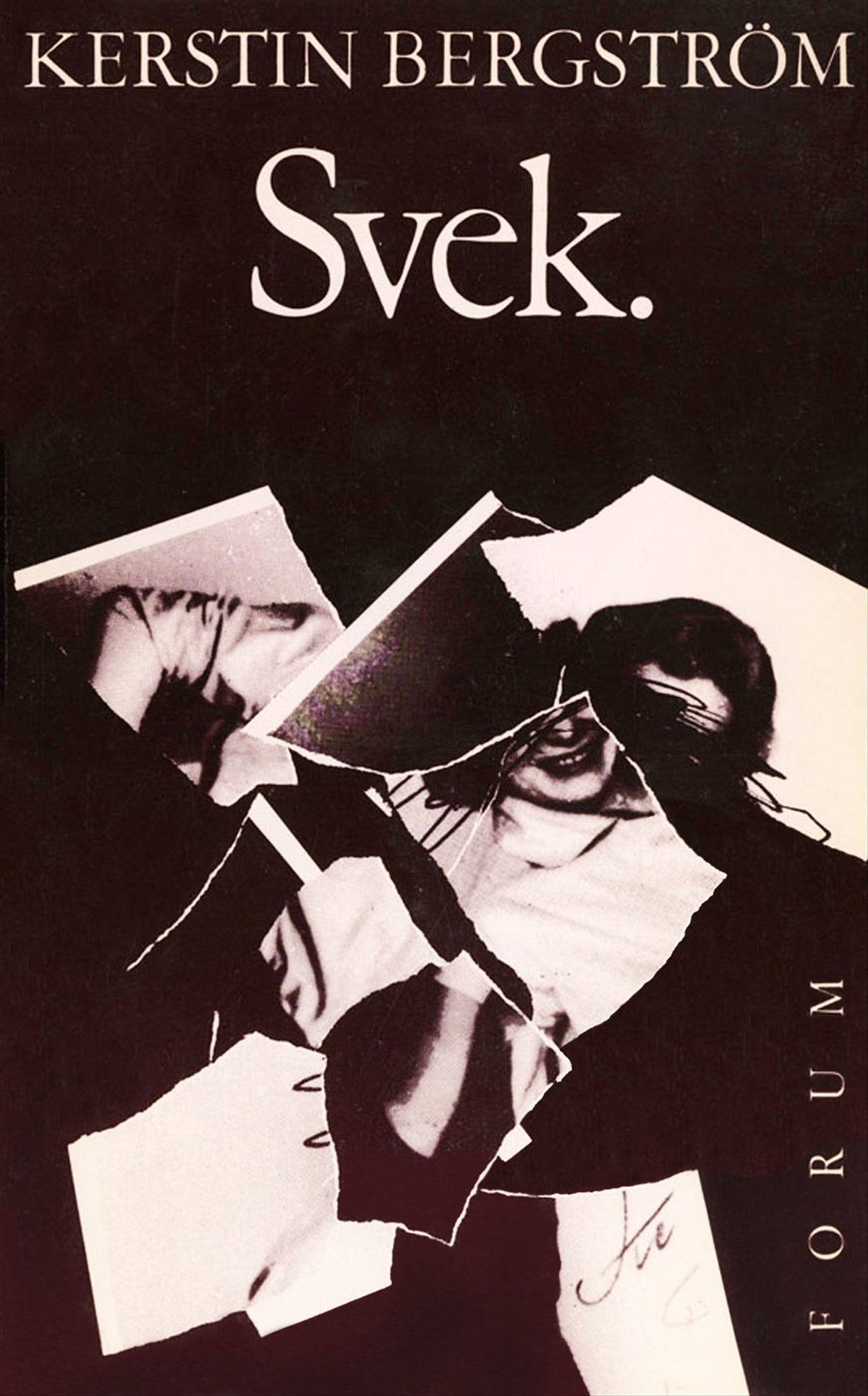 Svek – E-bok