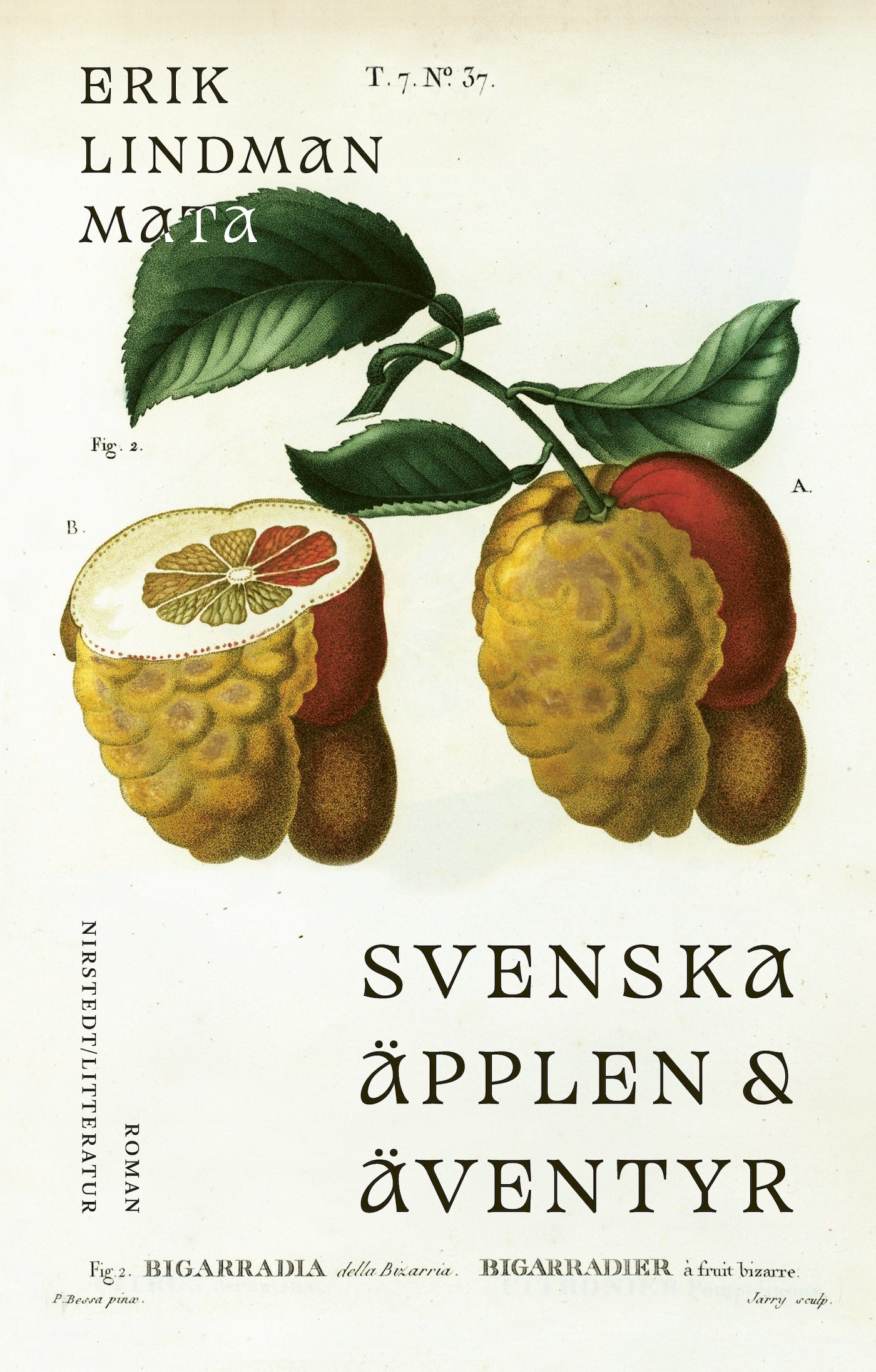 Svenska äpplen och äventyr – E-bok