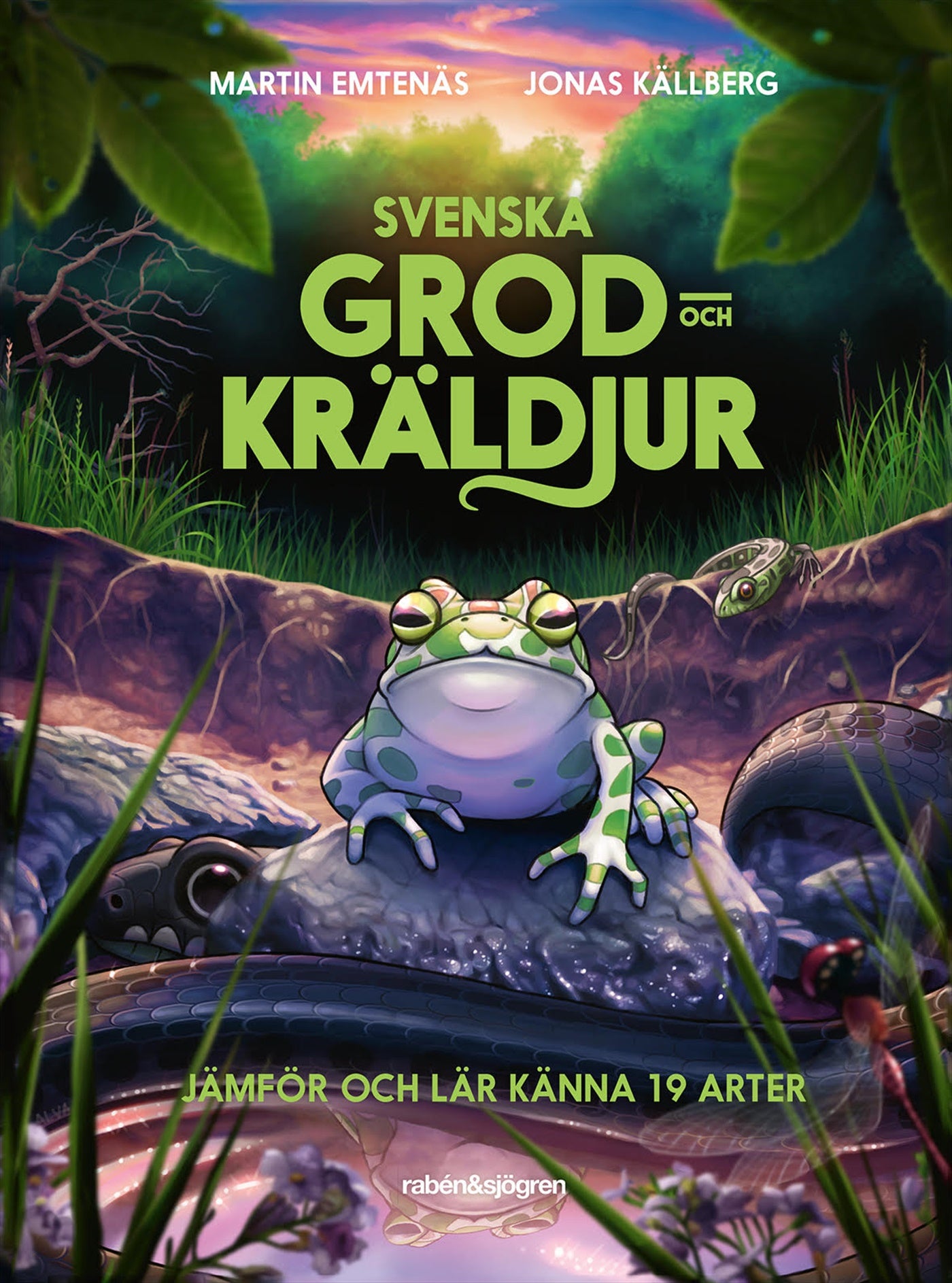 Svenska grod- och kräldjur : jämför och lär känna 19 arter – E-bok
