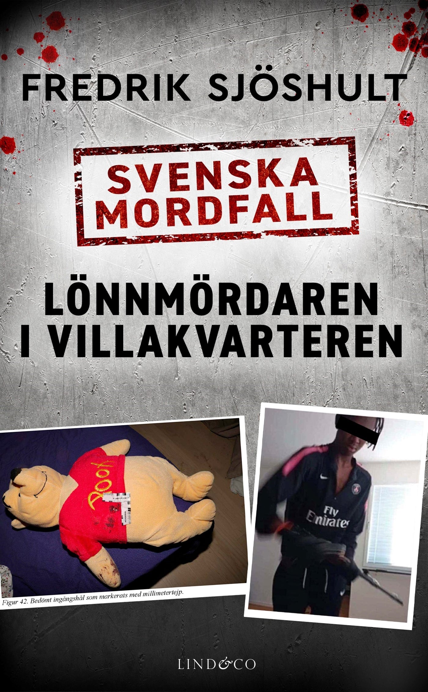 Svenska mordfall: Lönnmördaren i villakvarteren – E-bok