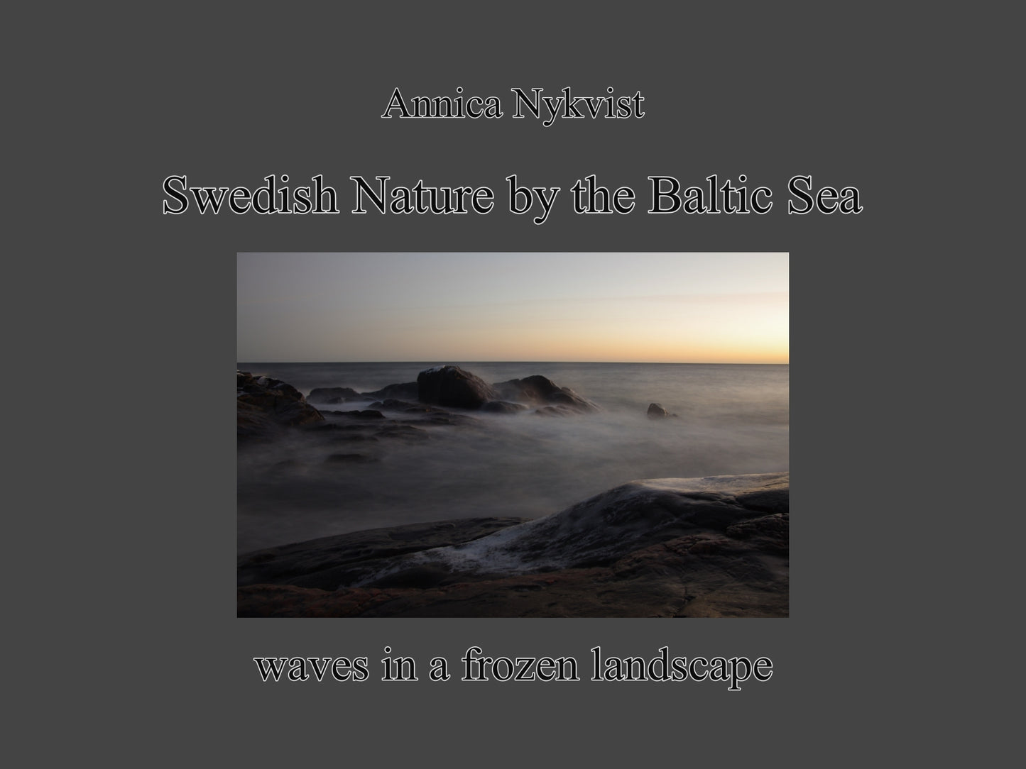 Swedish Nature by the Baltic Sea: Waves in a frozen landscape – E-bok