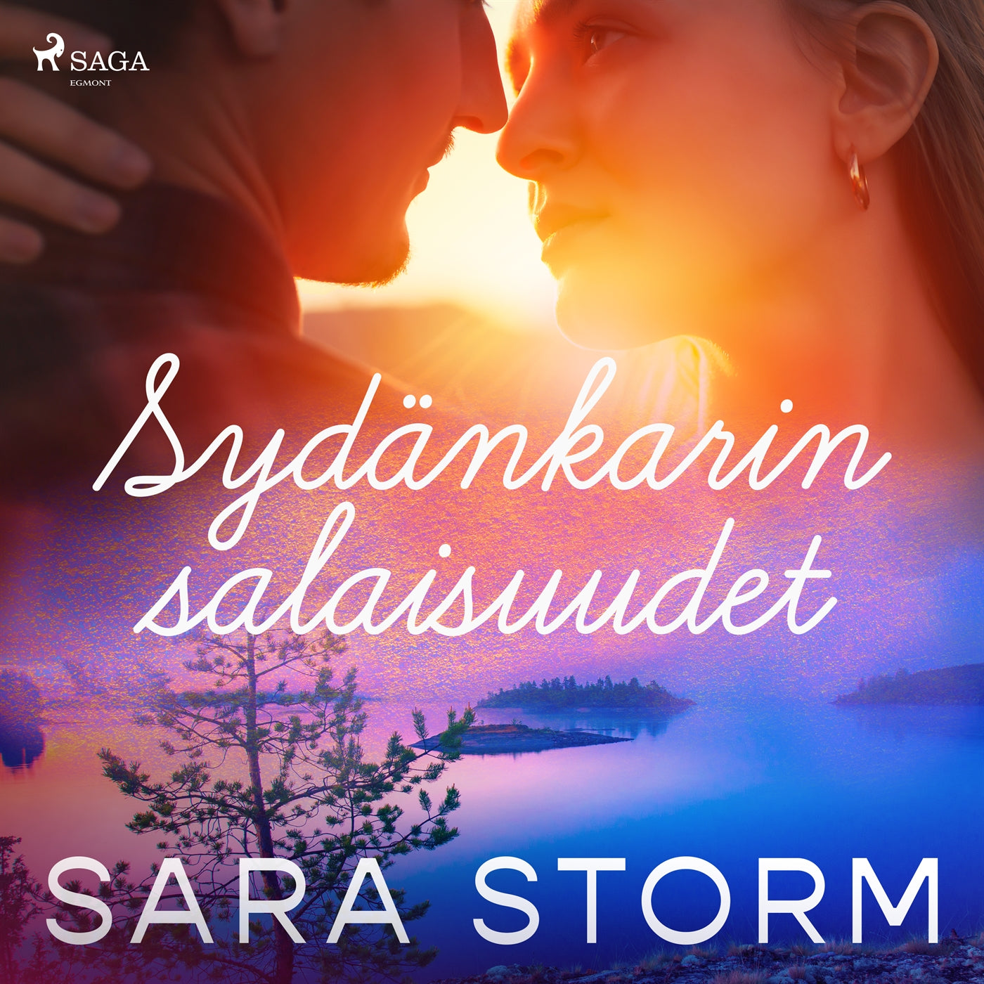 Sydänkarin salaisuudet – Ljudbok