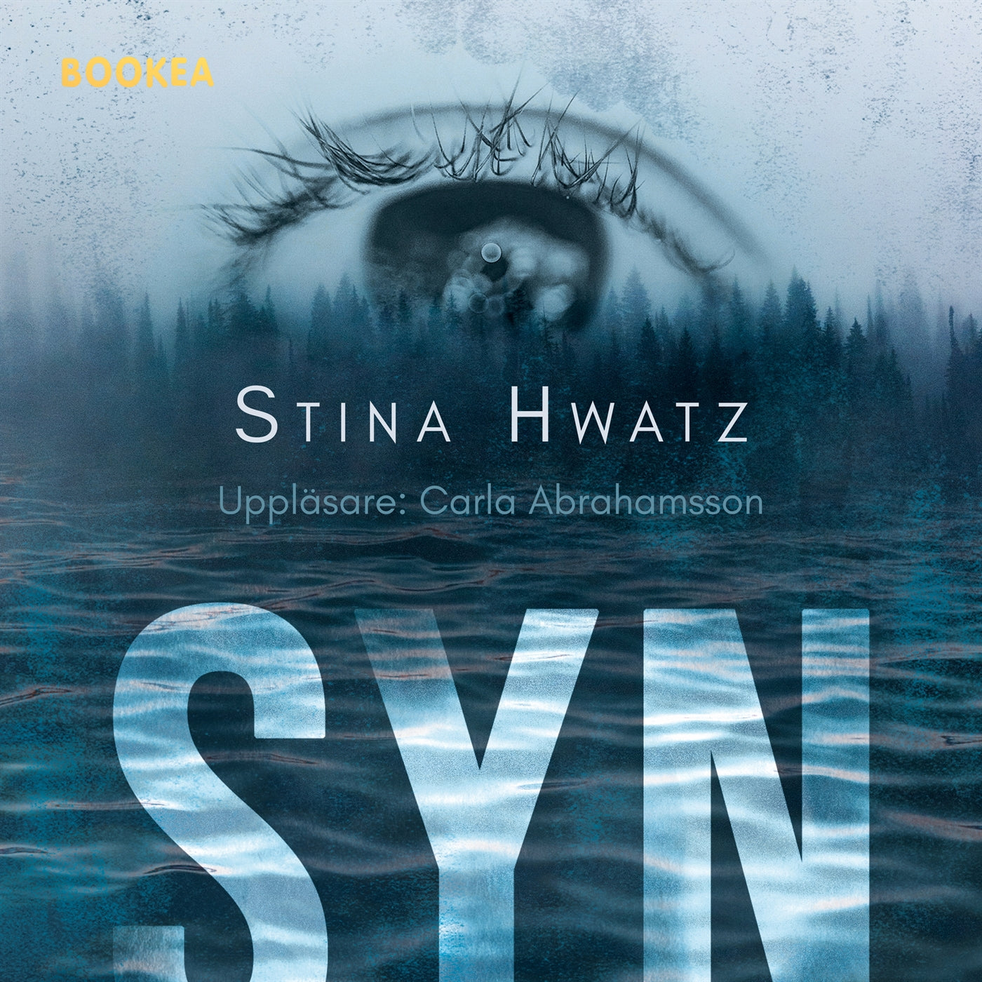Syn – Ljudbok