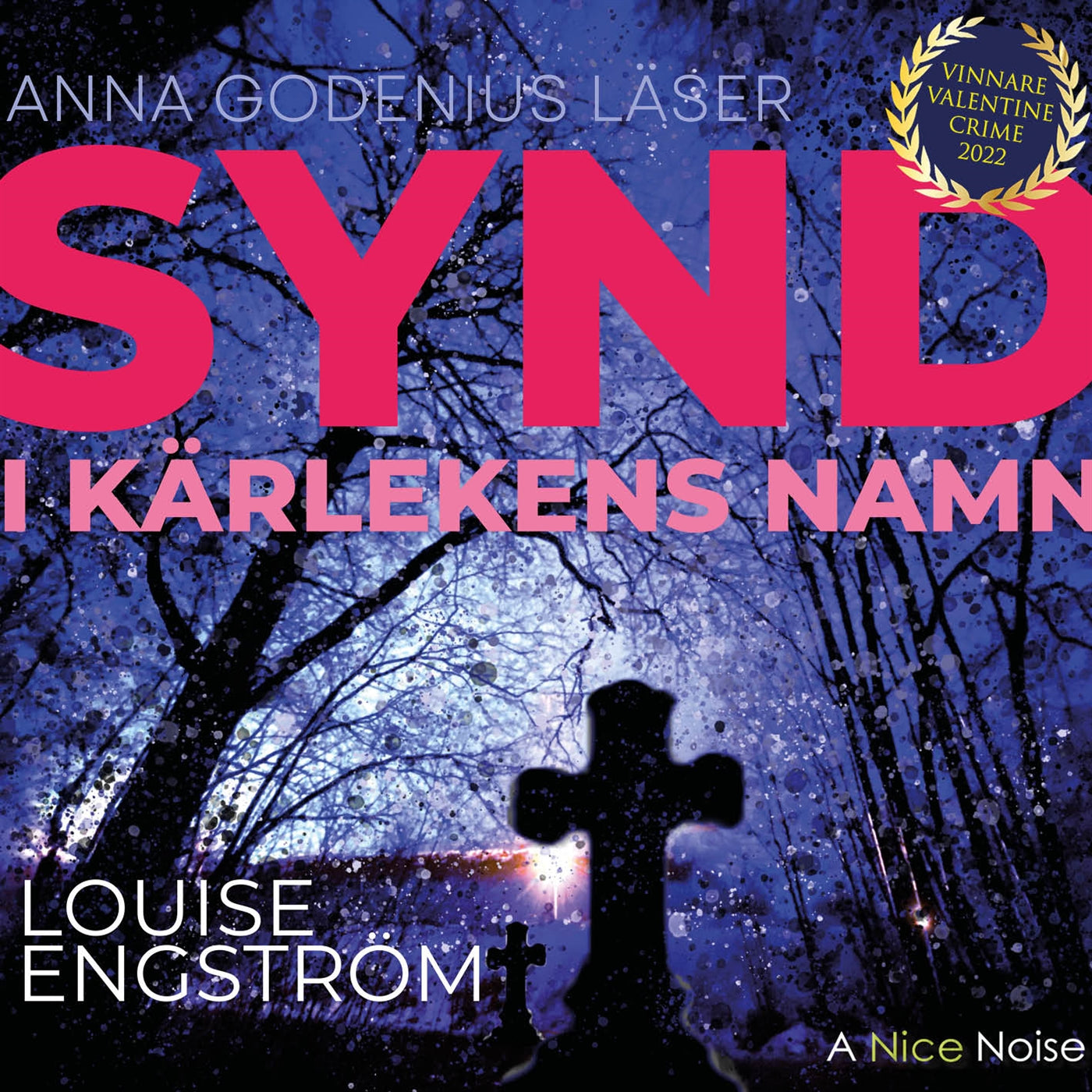 Synd - i kärlekens namn – Ljudbok