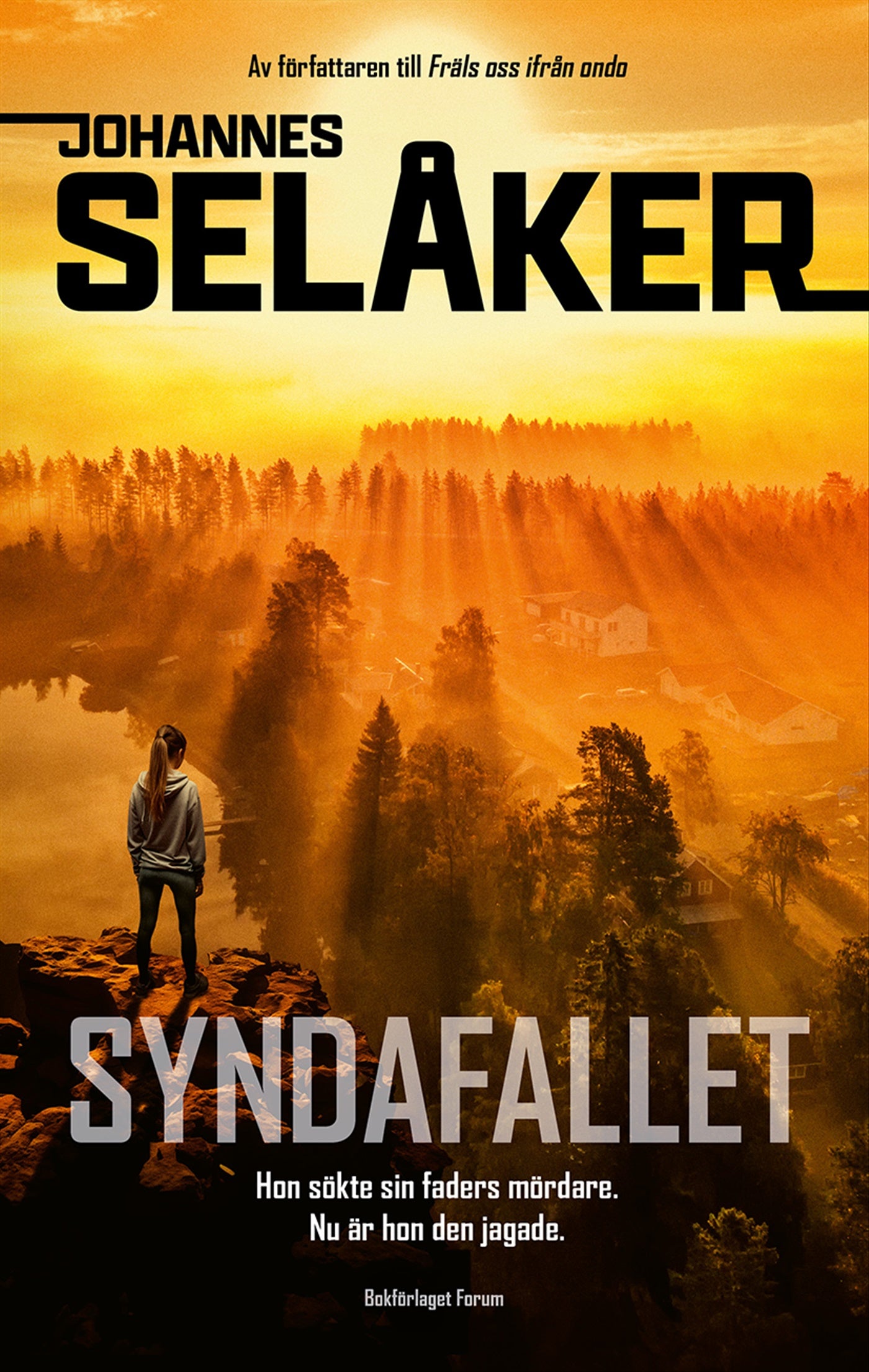 Syndafallet – E-bok