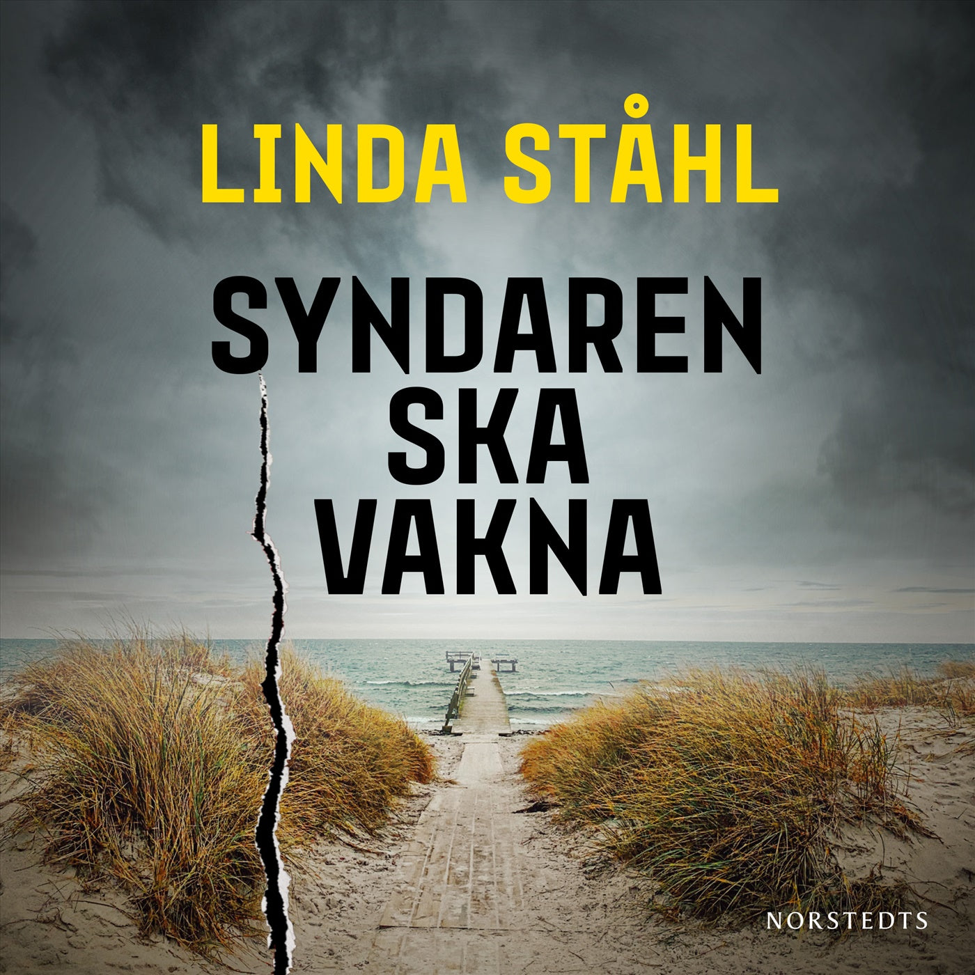 Syndaren ska vakna – Ljudbok