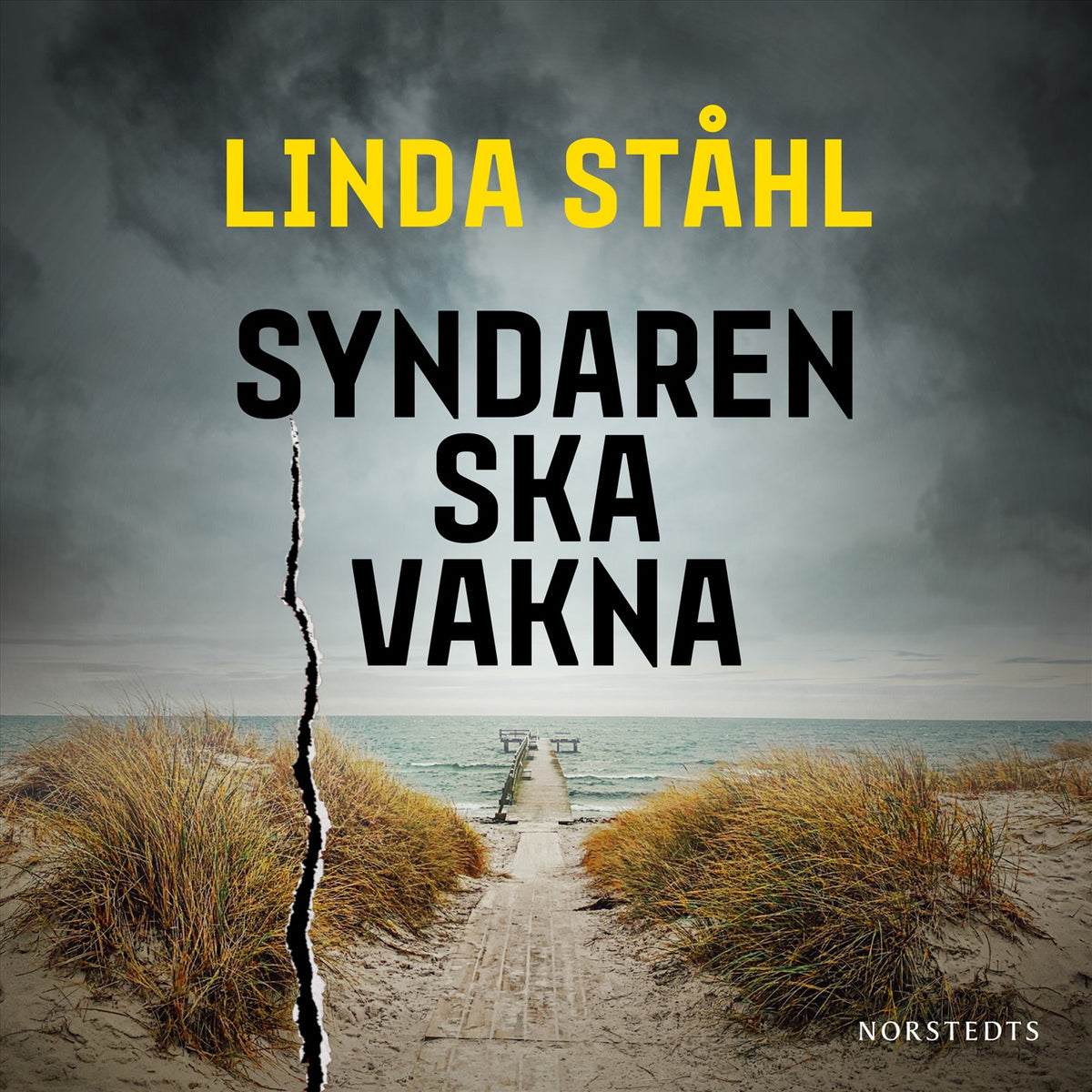 Syndaren ska vakna – Ljudbok