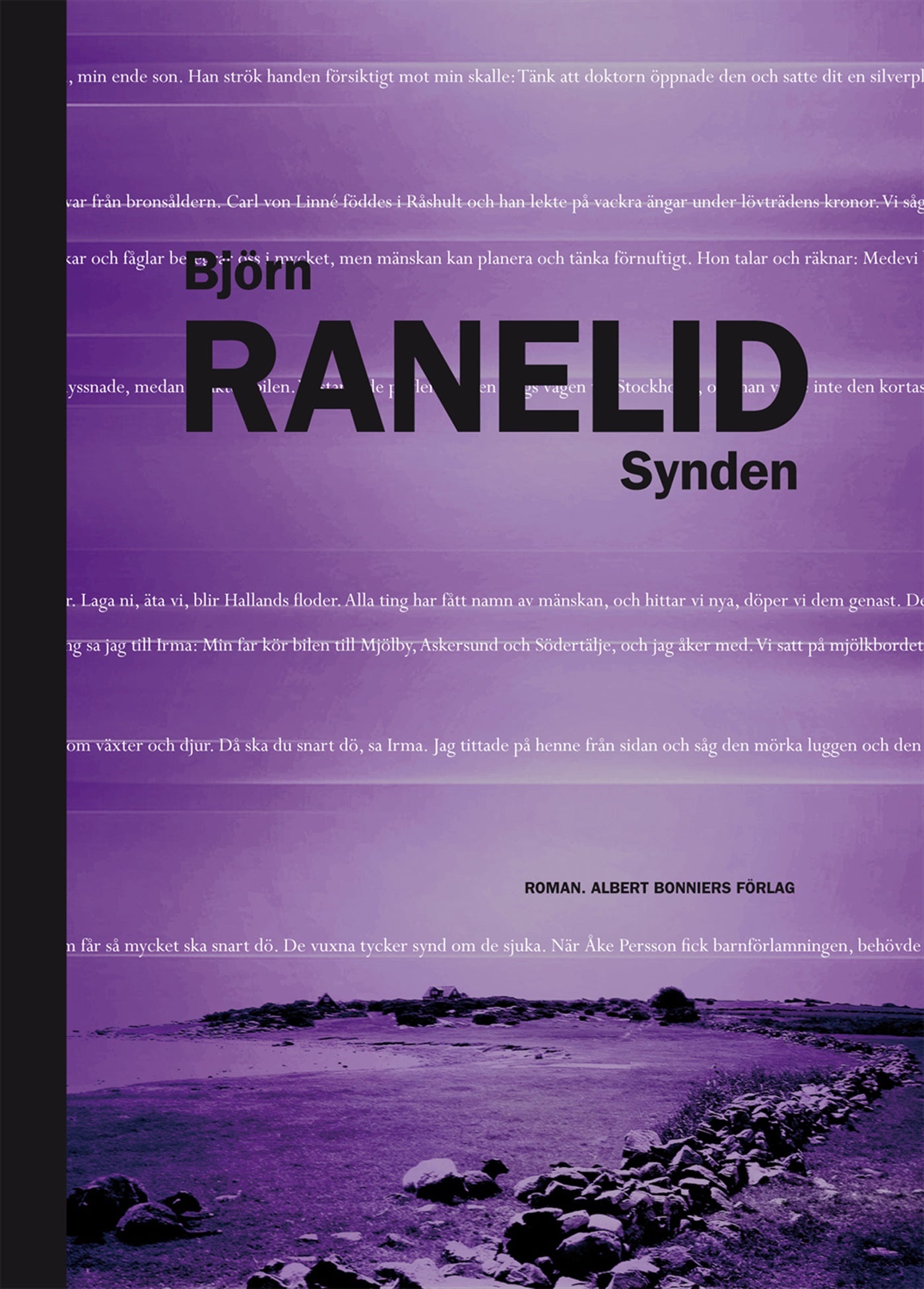Synden – E-bok