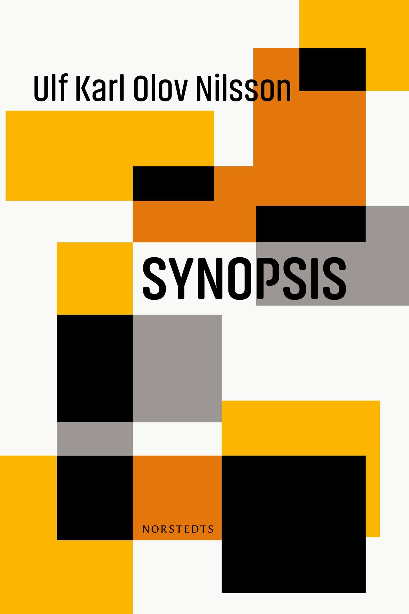 Synopsis – E-bok