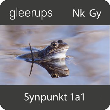 Synpunkt 1a1, digitalt läromedel, elev, 6 mån