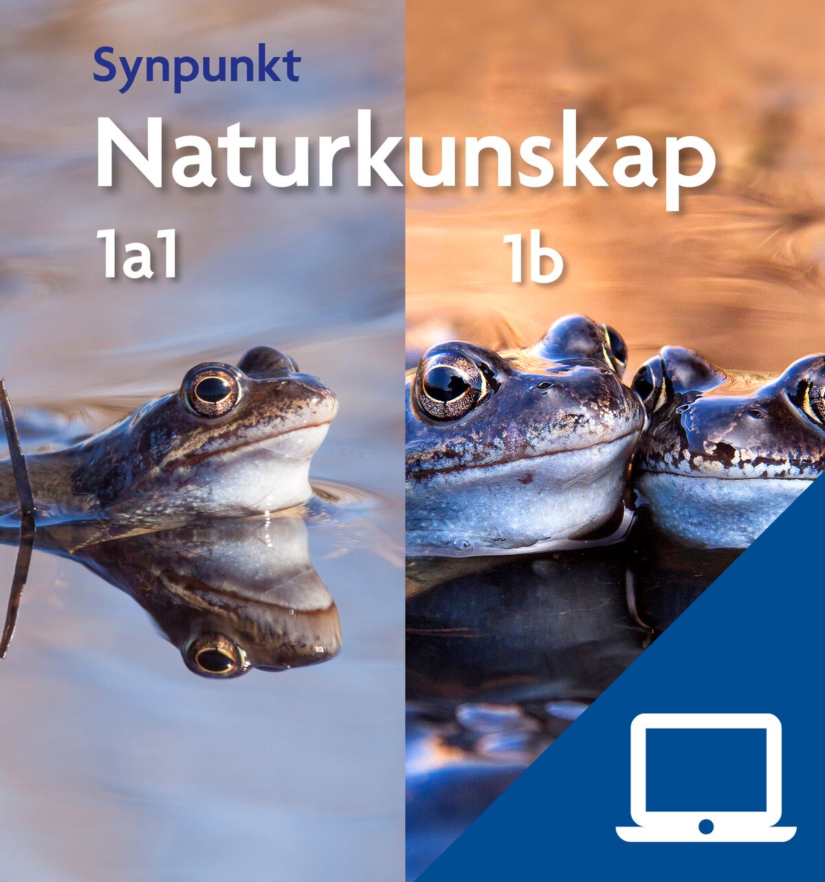 Synpunkt Naturkunskap 1a1+1b, digital elevträning, 12 mån
