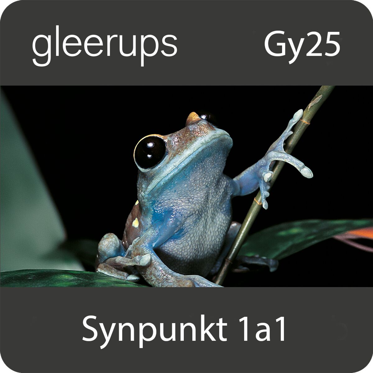 Synpunkt Naturkunskap 1a1, digitalt, elev, 6 mån, Gy25