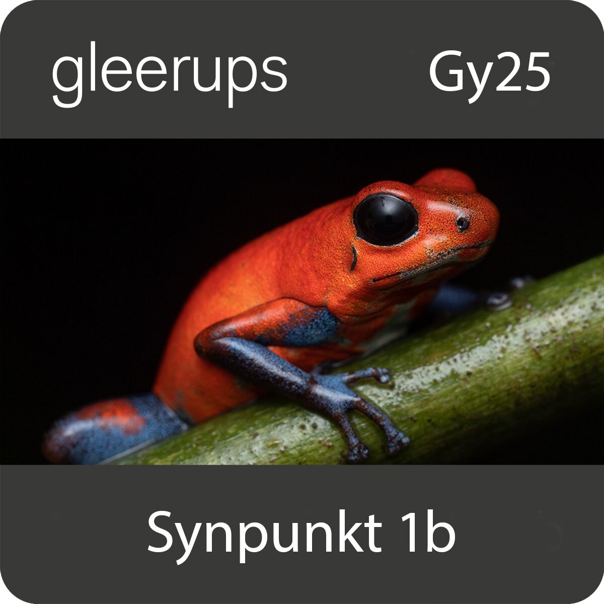 Synpunkt Naturkunskap 1b, digitalt, lärare, 12 mån, Gy25 (OBS! Endast för lärare)