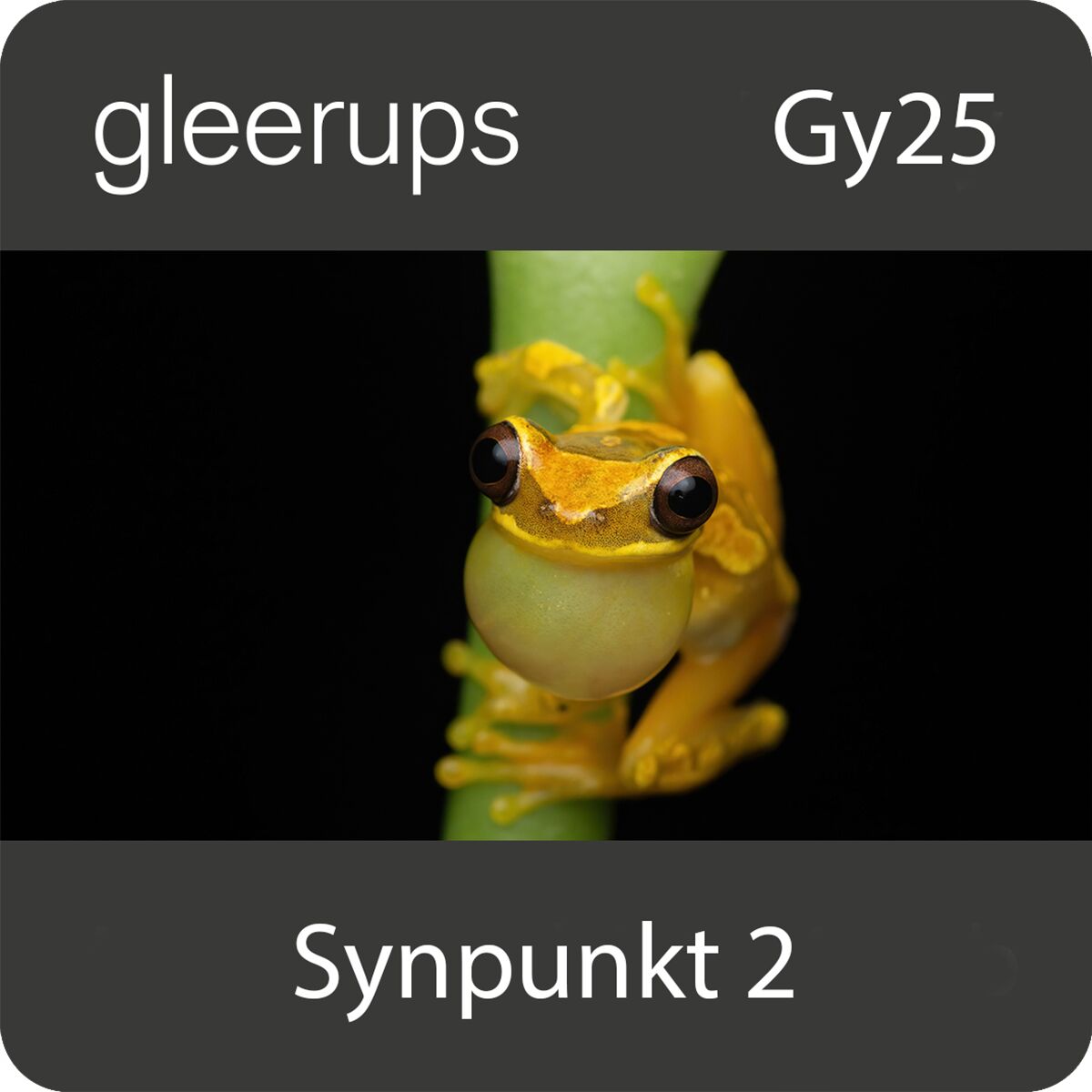 Synpunkt Naturkunskap 2, digitalt, lärare, 12 mån, Gy25 (OBS! Endast för lärare)