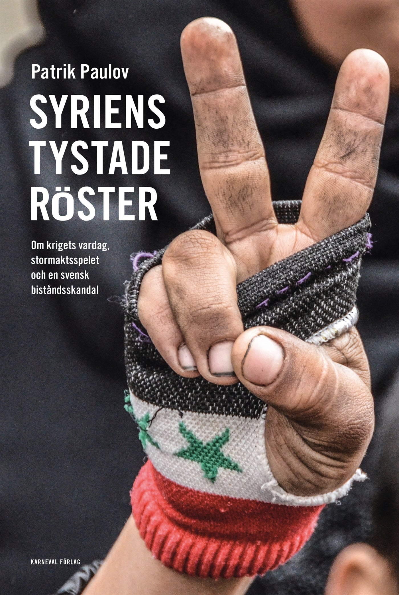 Syriens tystade röster : Om krigets vardag, stormaktsspelet och en svensk biståndsskandal – E-bok