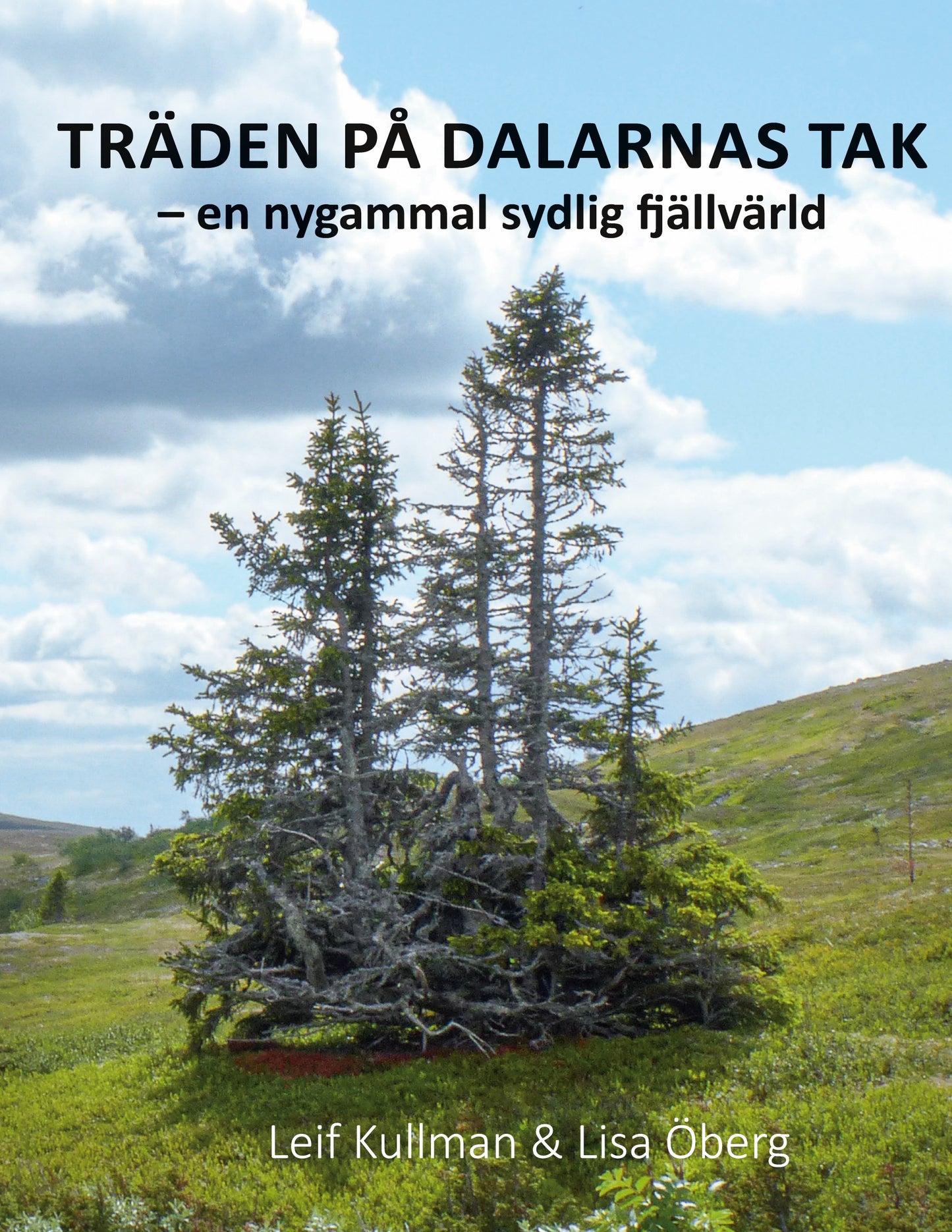 TRÄDEN PÅ DALARNAS TAK: en ny sydlig fjällvärld – E-bok