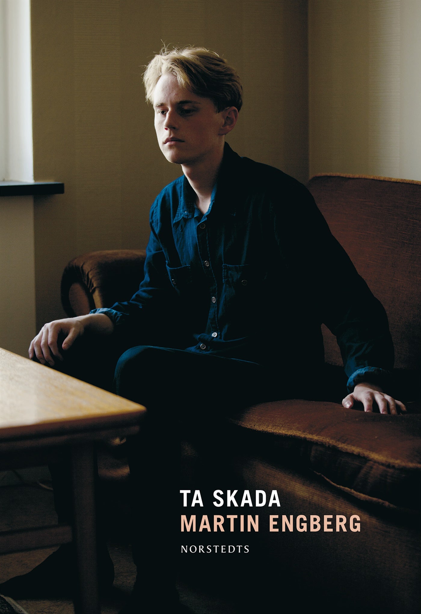 Ta skada – E-bok