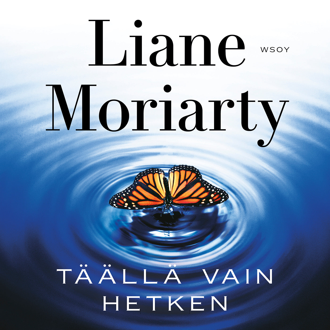 Täällä vain hetken – Ljudbok