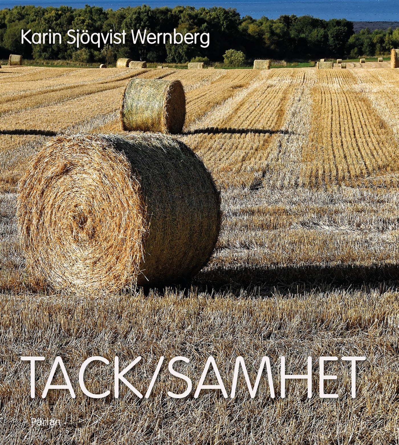 Tack/samhet – E-bok