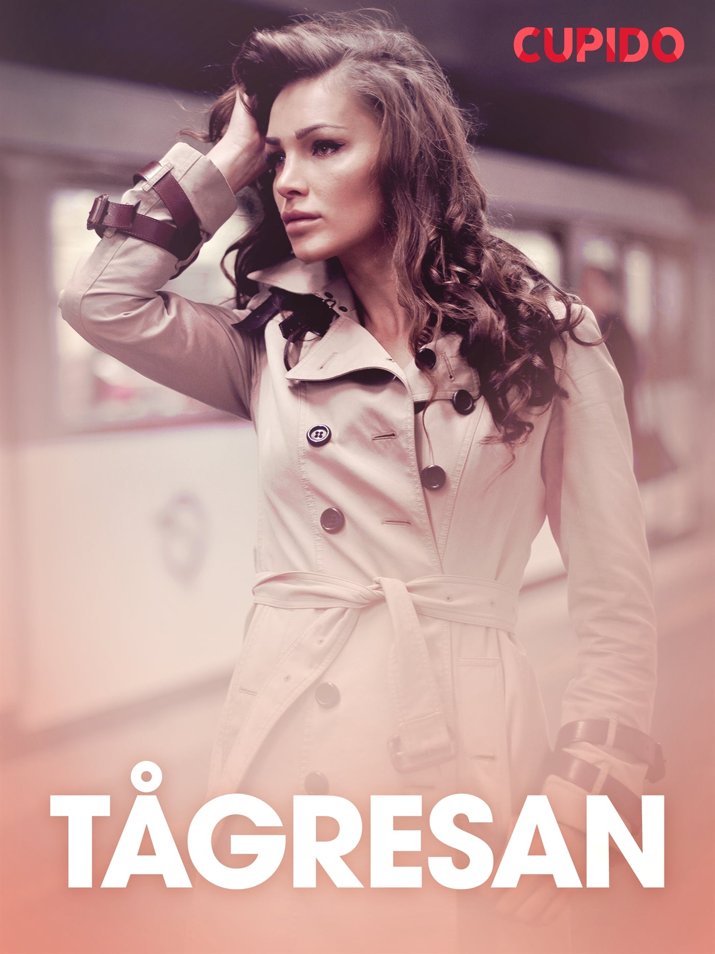 Tågresan - erotiska noveller – E-bok