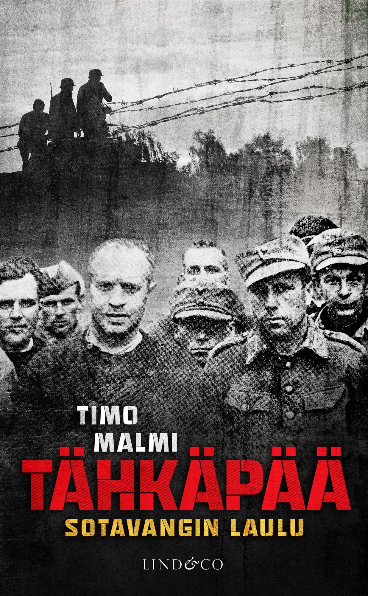 Tähkäpää – E-bok