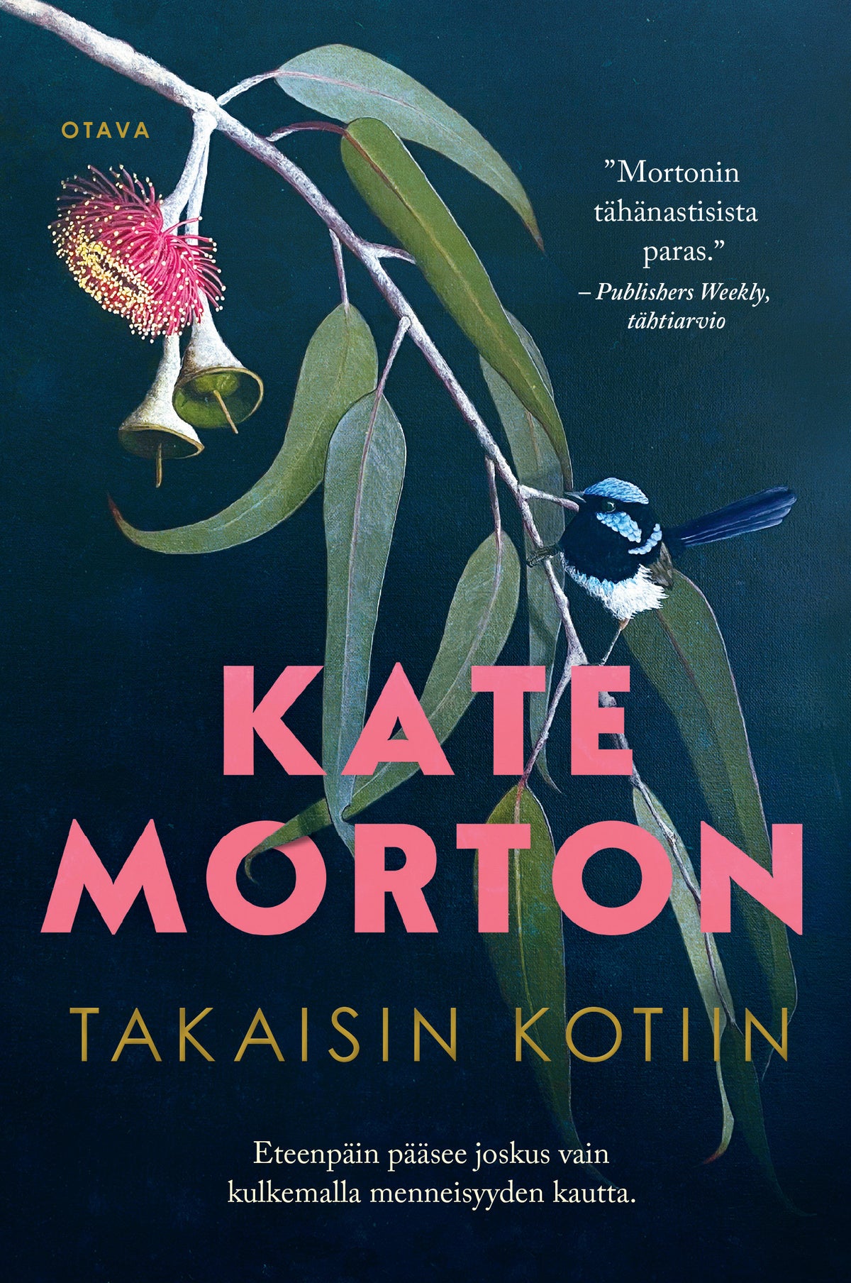 Takaisin kotiin – E-bok