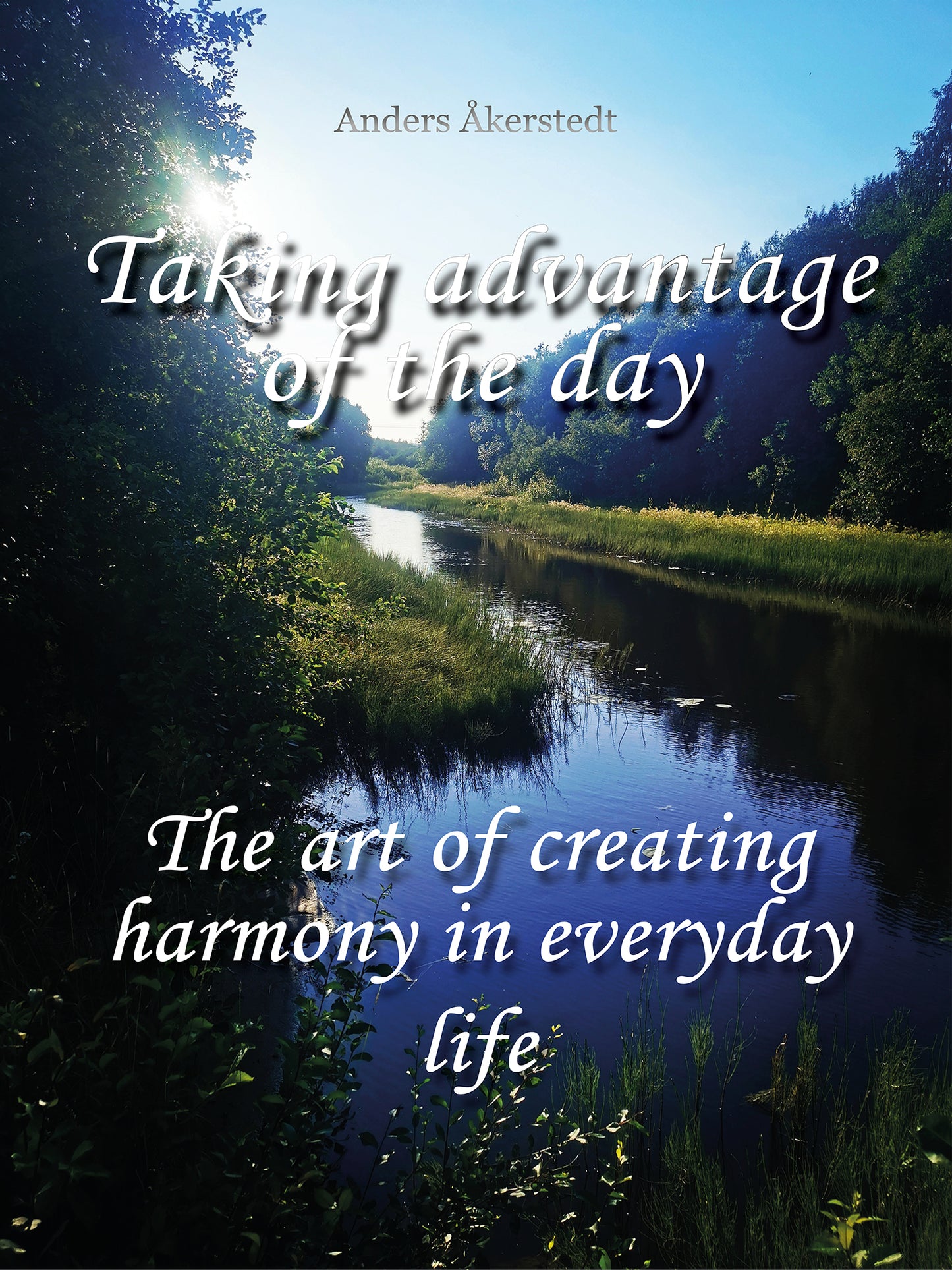 Taking advantage of the day: The art of creating harmony in everyday life – E-bok