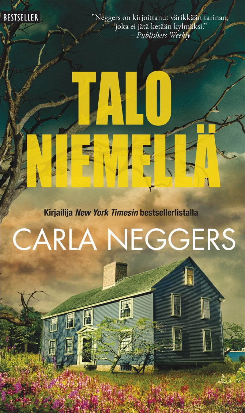 Talo niemellä – E-bok