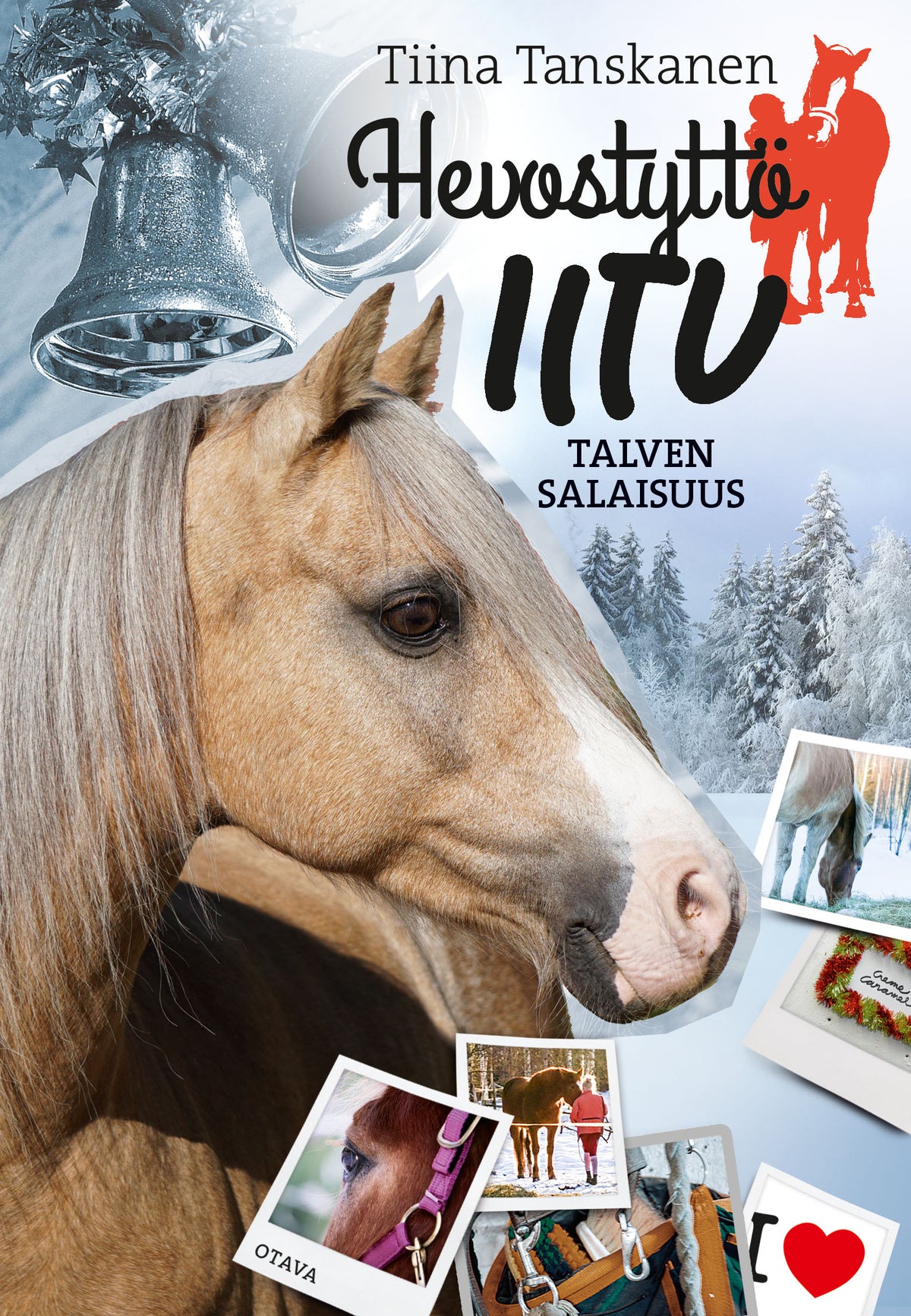 Talven salaisuus – E-bok