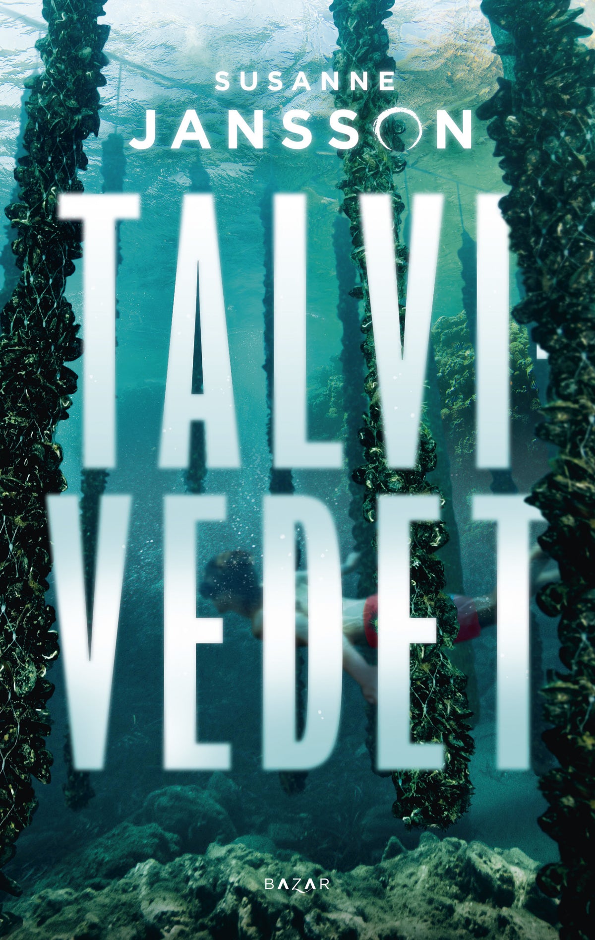 Talvivedet – E-bok